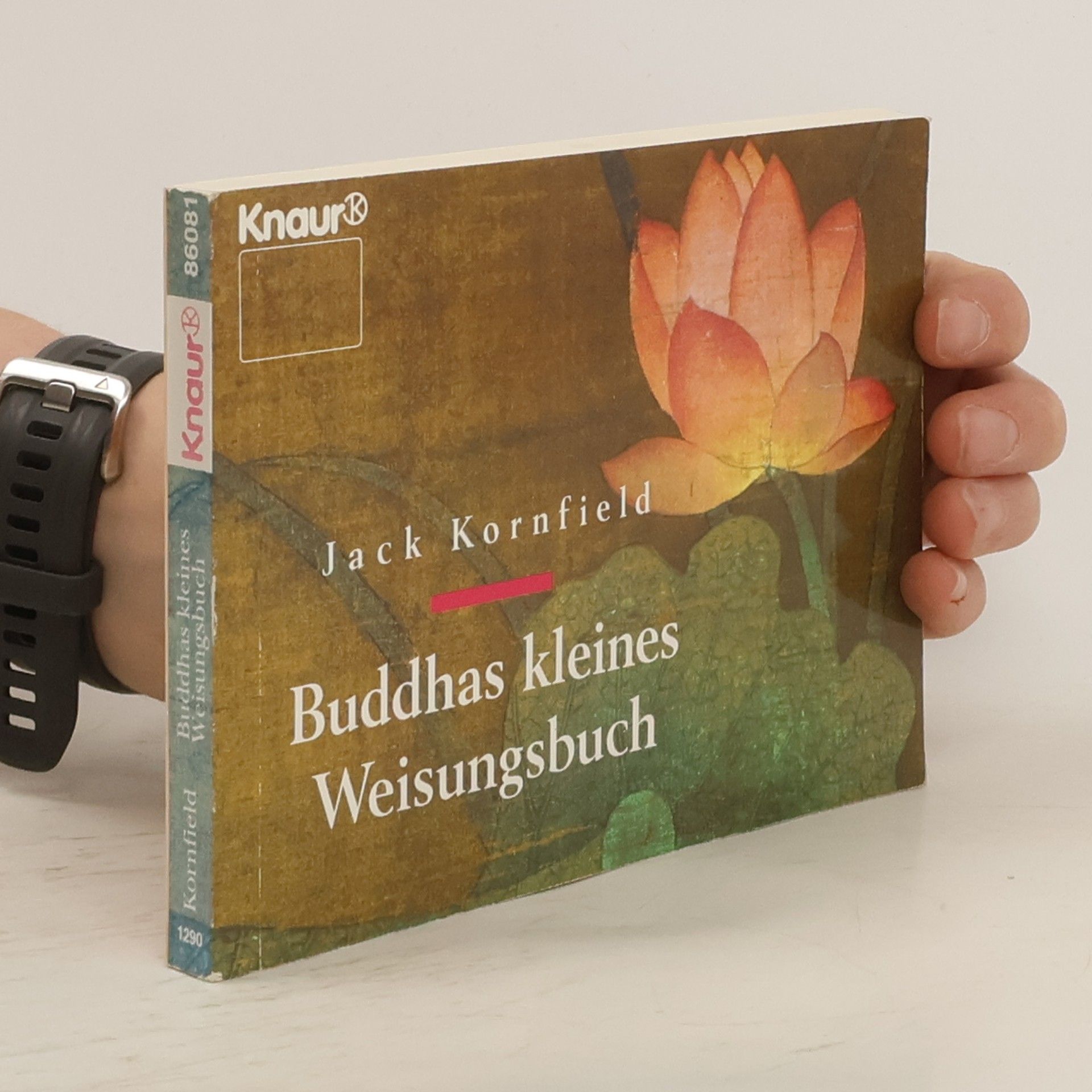 Jack Kornfield Buddhas kleines Weisungsbuch