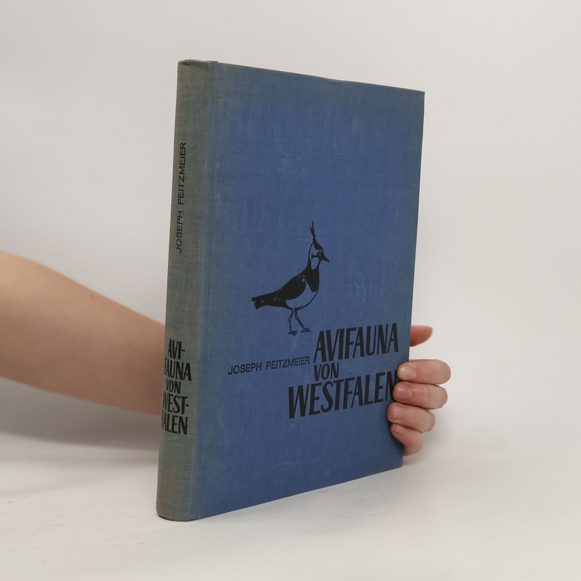Avifauna von Westfalen