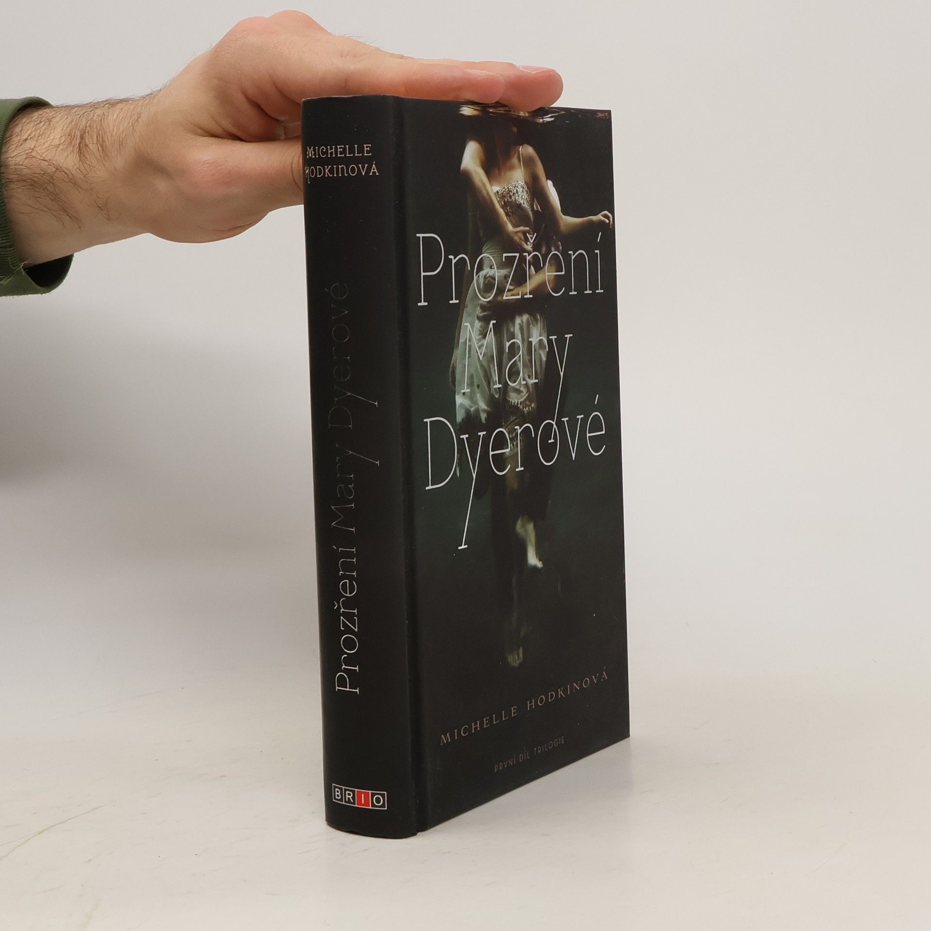 Michelle Hodkin Prozření Mary Dyerové