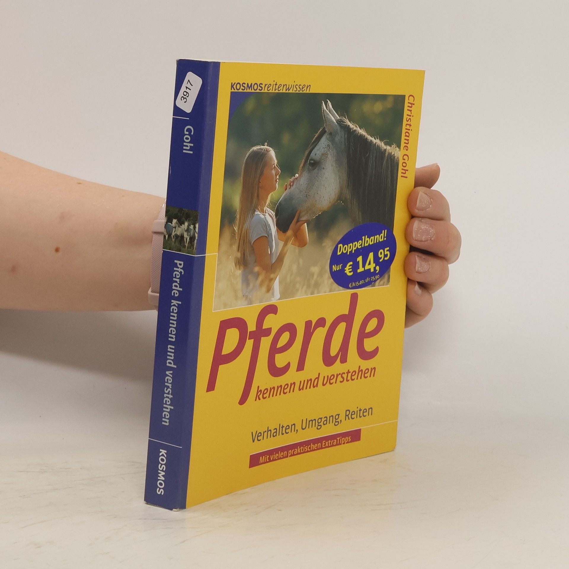Christiane Gohl Pferde