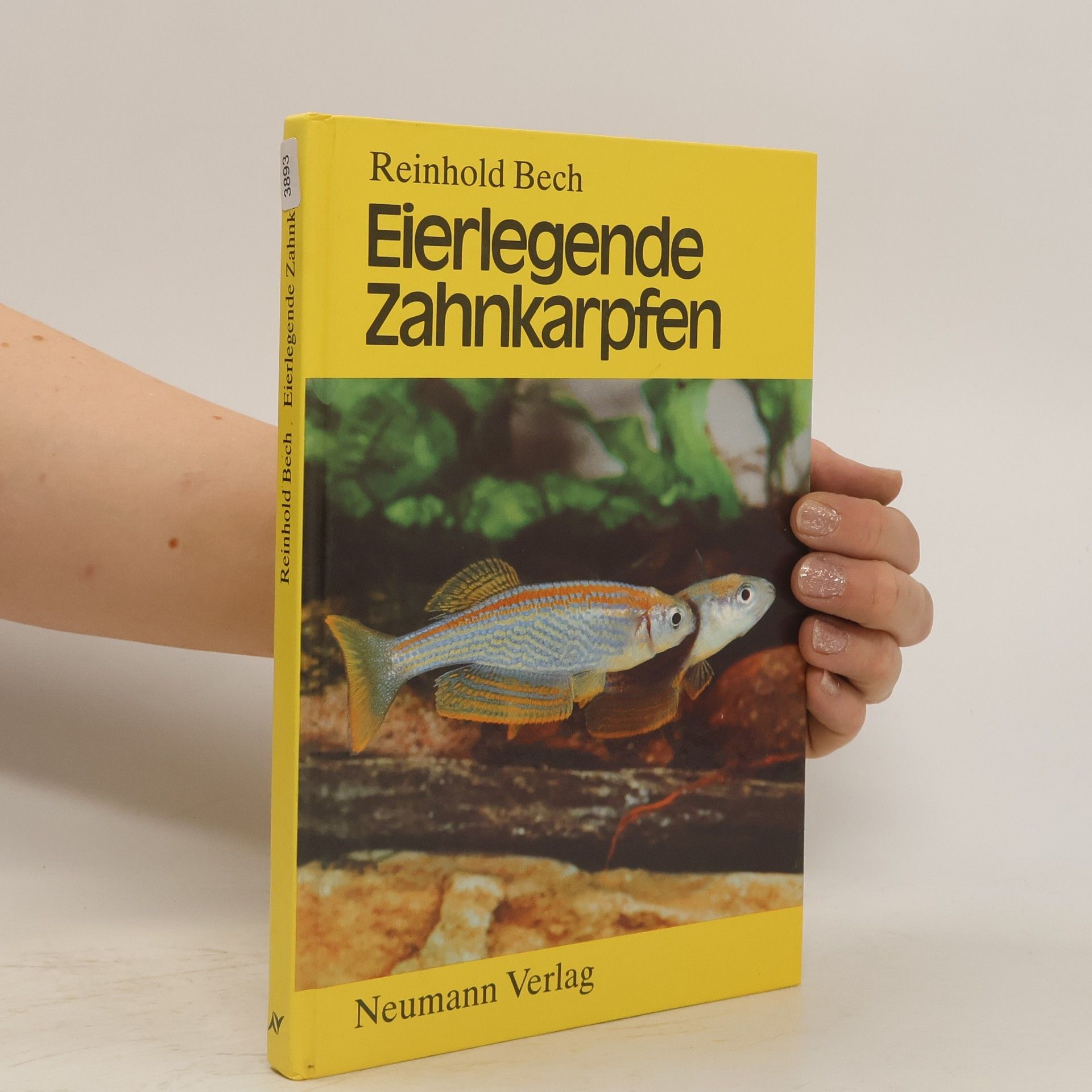 Reinhold Bech Eierlegende Zahnkarpfen