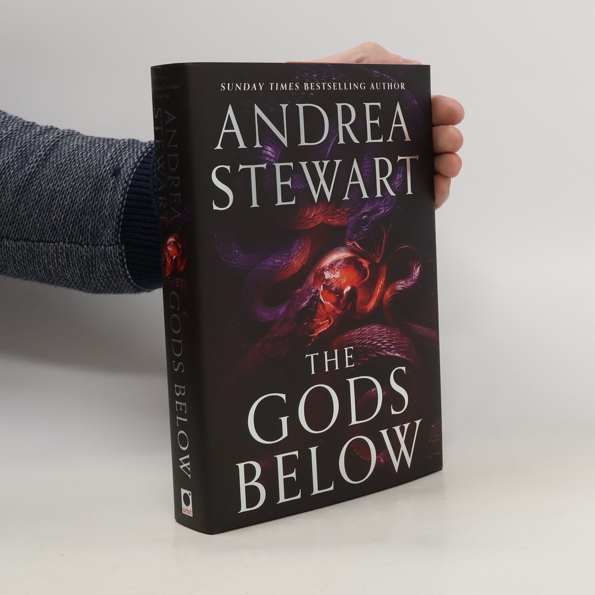 Andrea Stewart The Gods Below