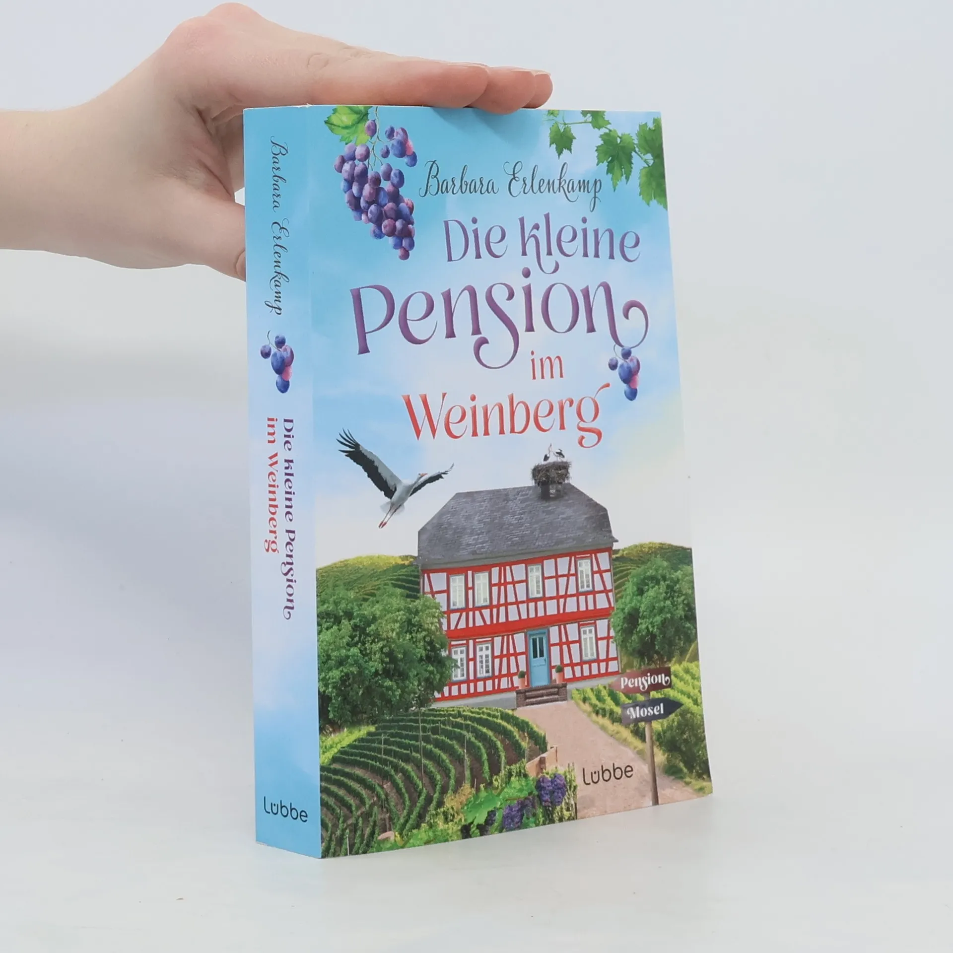 Die kleine Pension im Weinberg | Buch | Barbara Erlenkamp