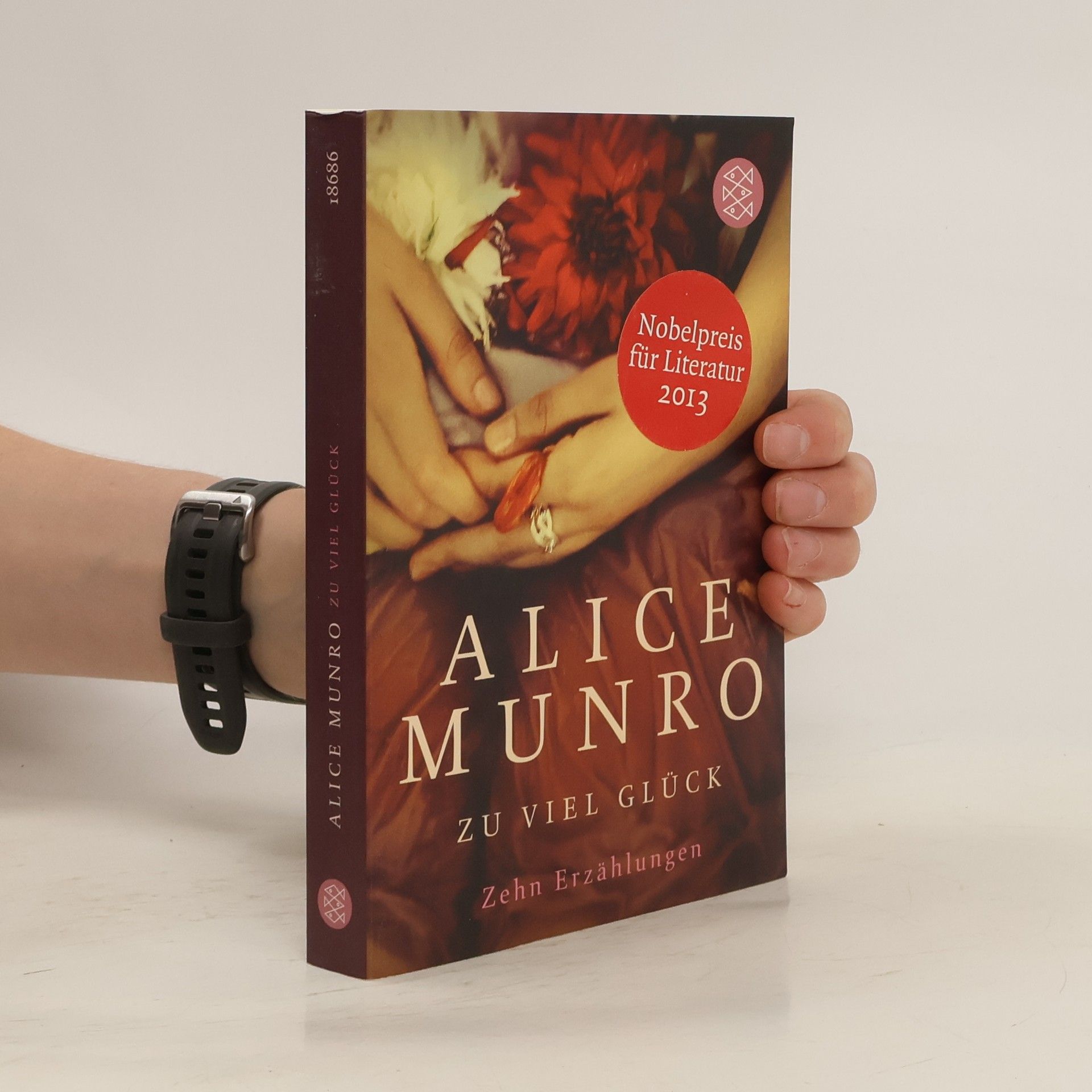 Alice Munro Zu viel Glück : zehn erzählungen