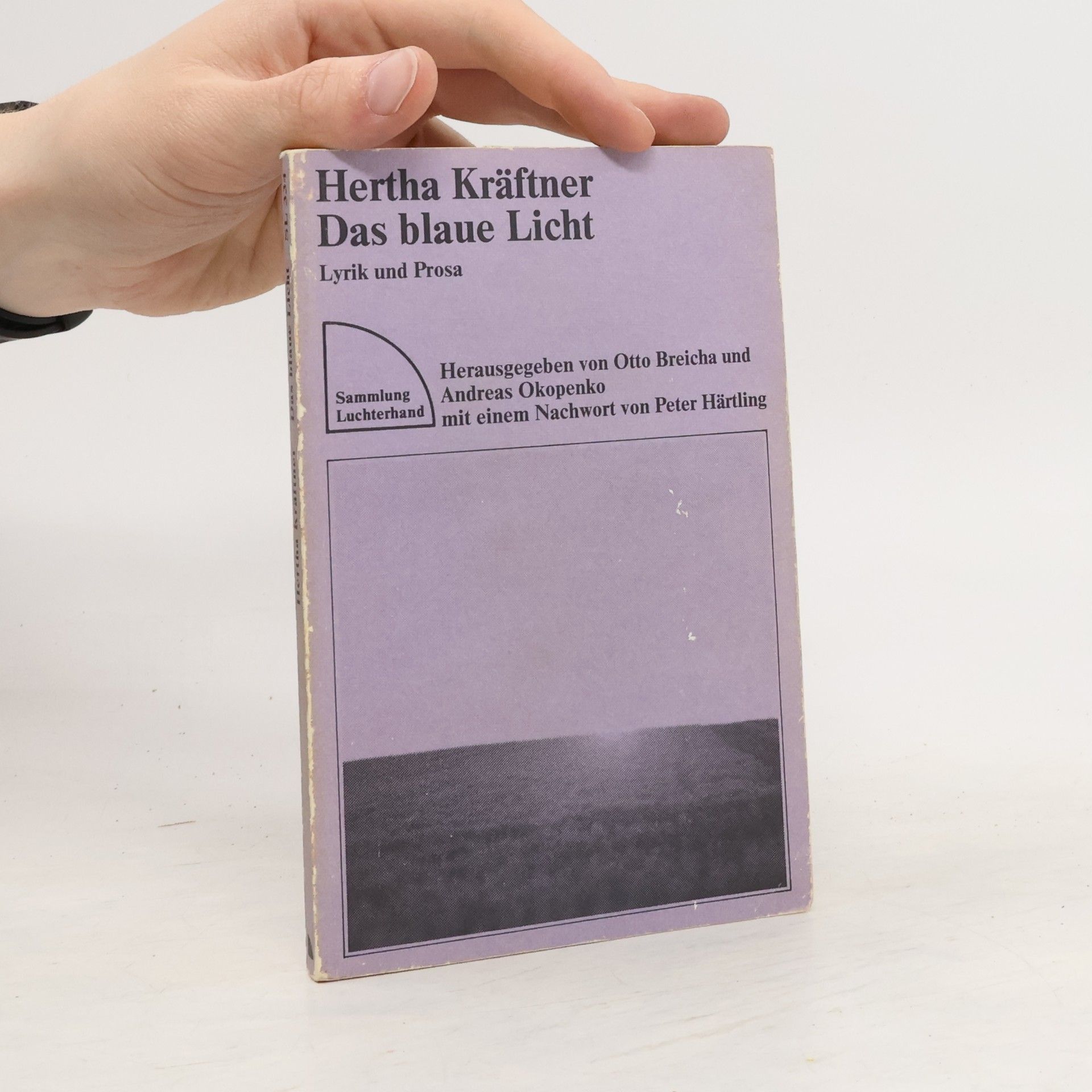 Hertha Kräftner Das blaue Licht. Lyrik und Prosa
