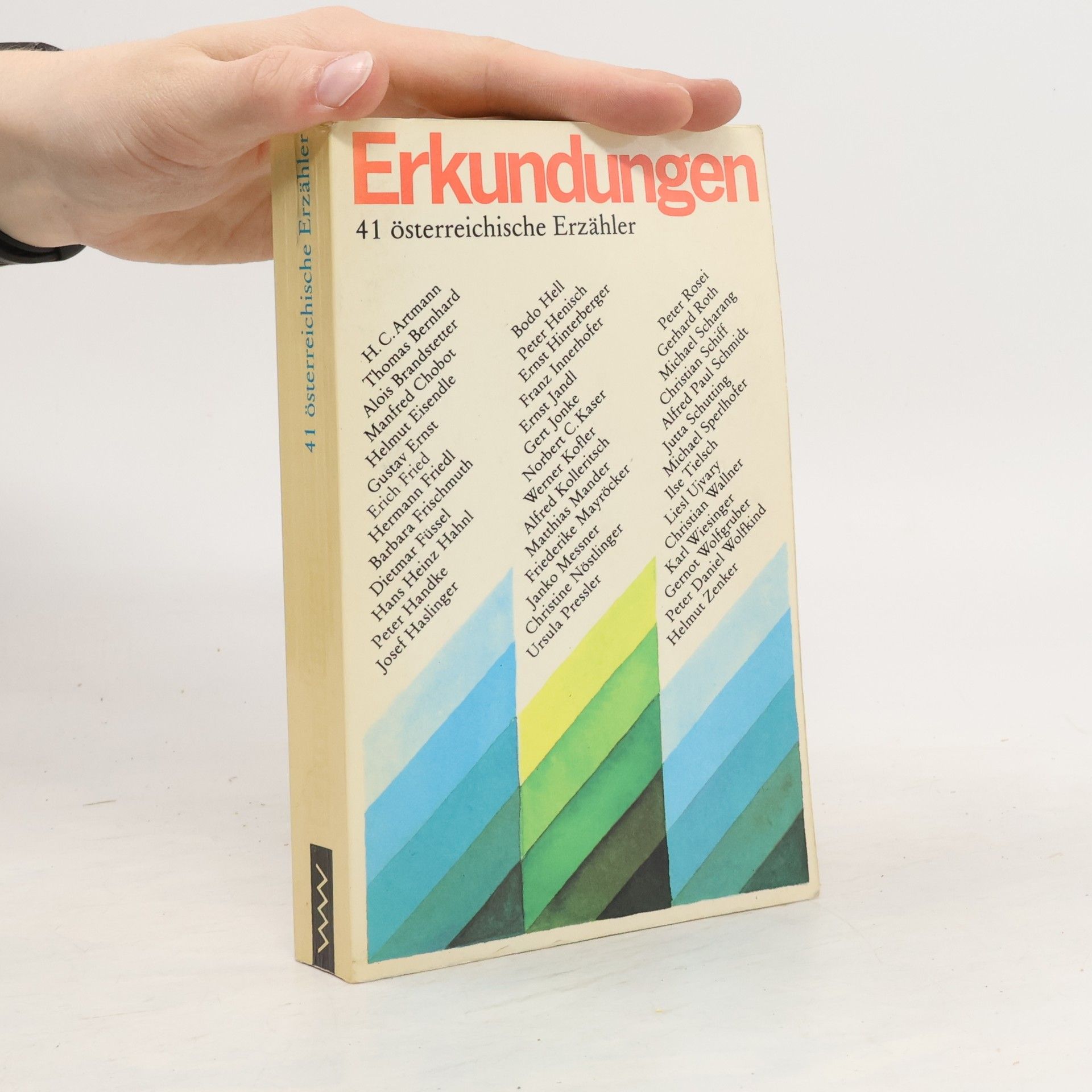 kolektiv Erkundungen. 41 österreichische Erzähler