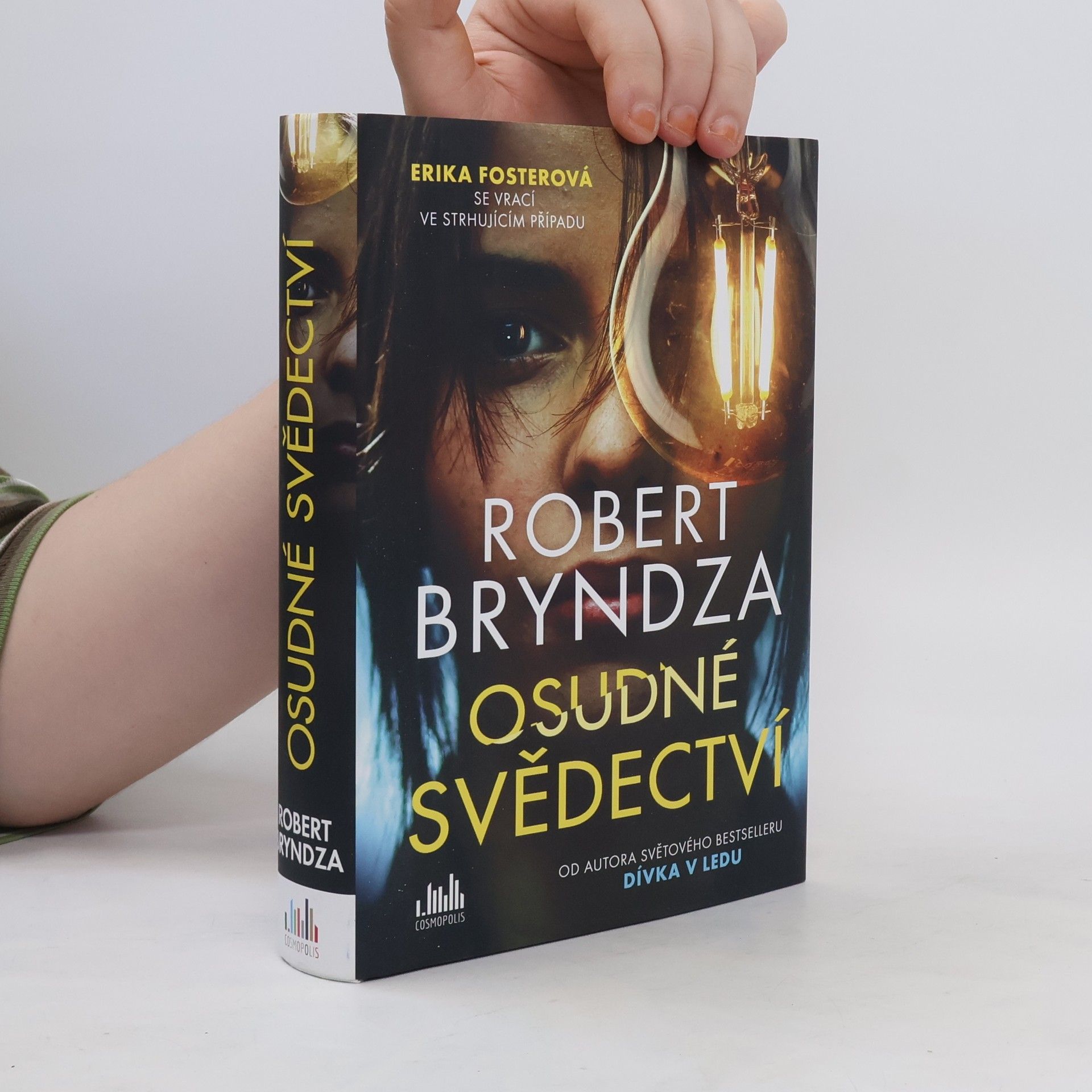 Robert Bryndza Osudné svědectví