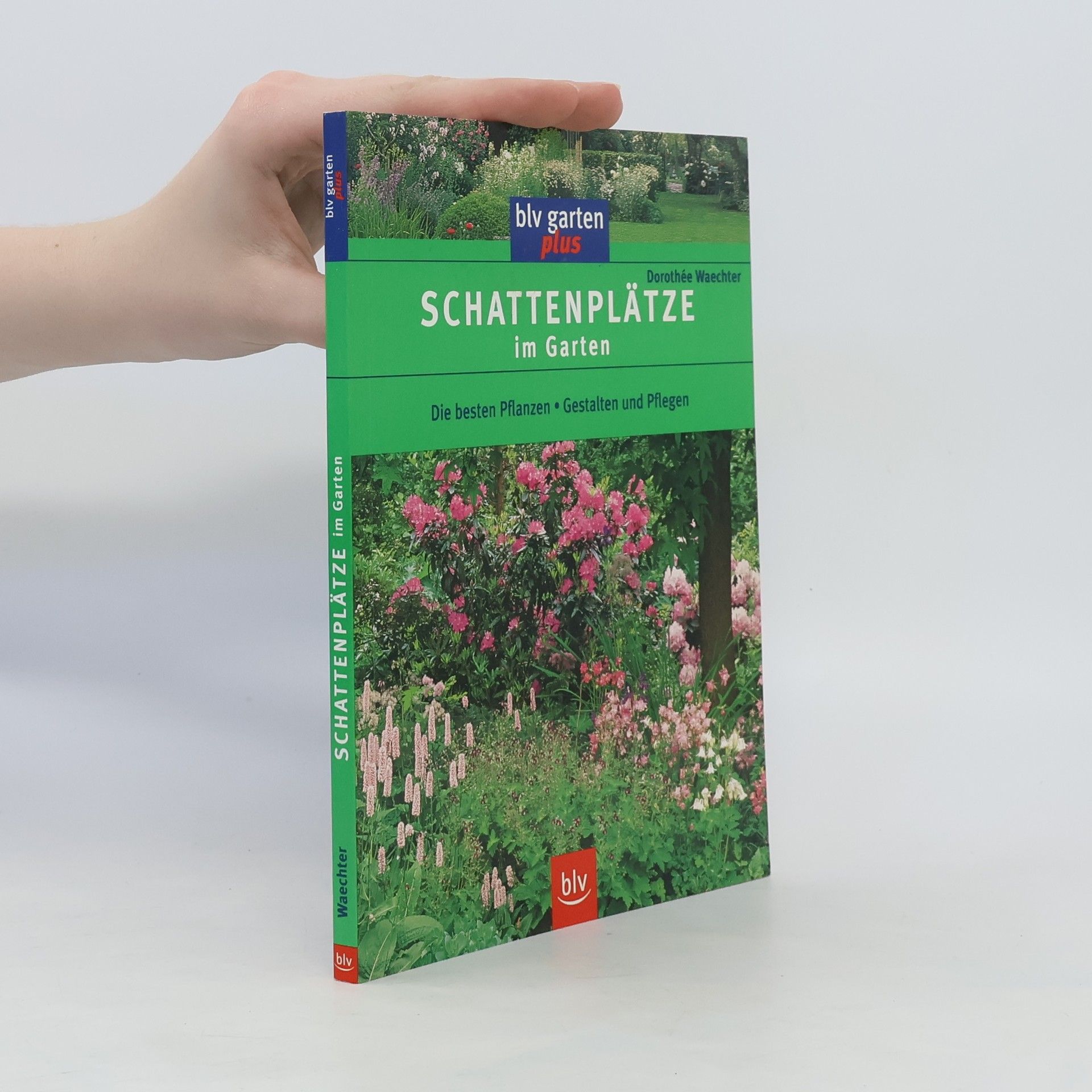 Dorothée Waechter Schattenplätze im Garten