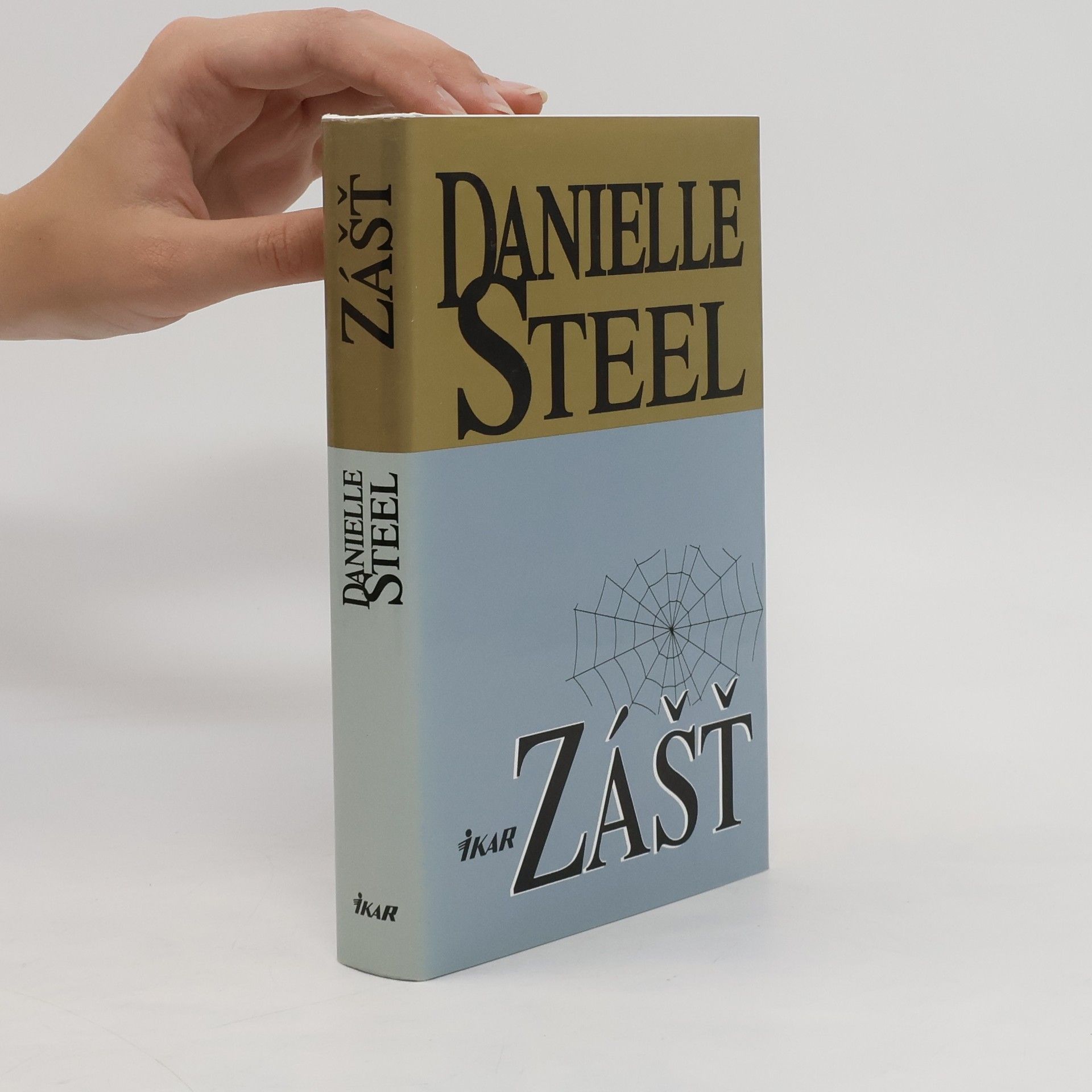 Danielle Steel Zášť