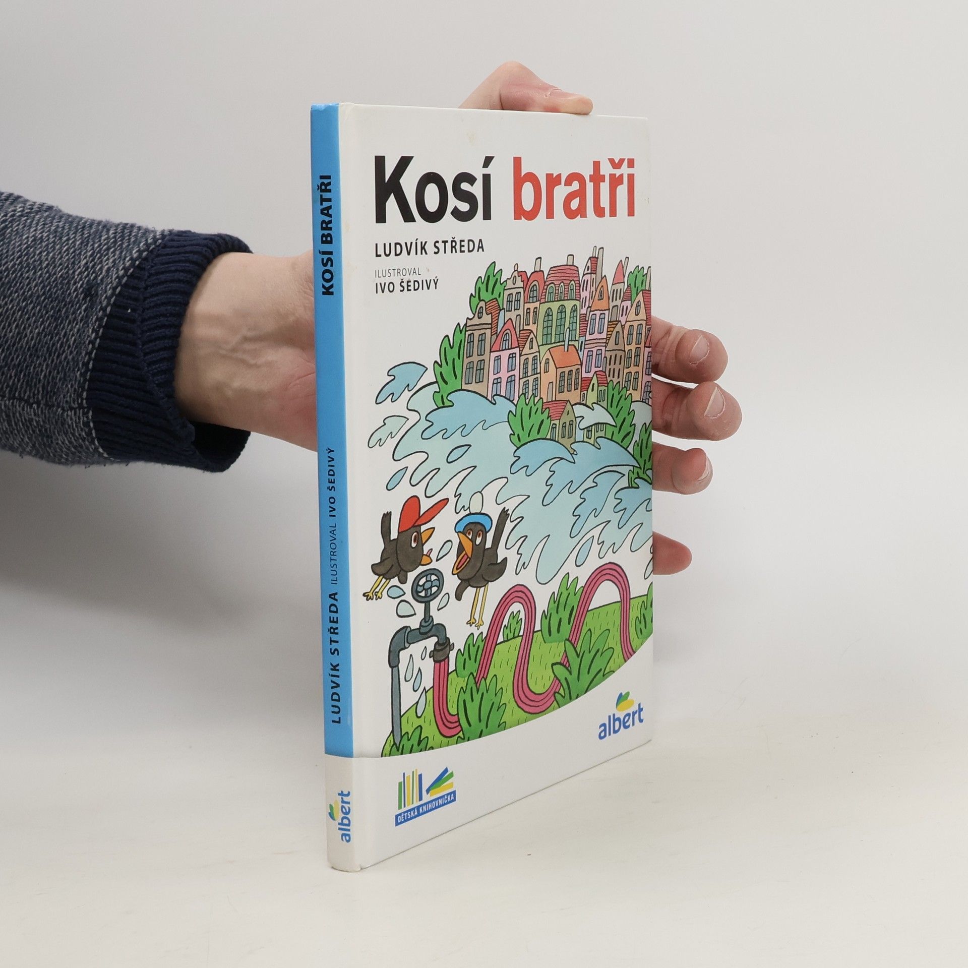 Ludvík Středa Kosí bratři