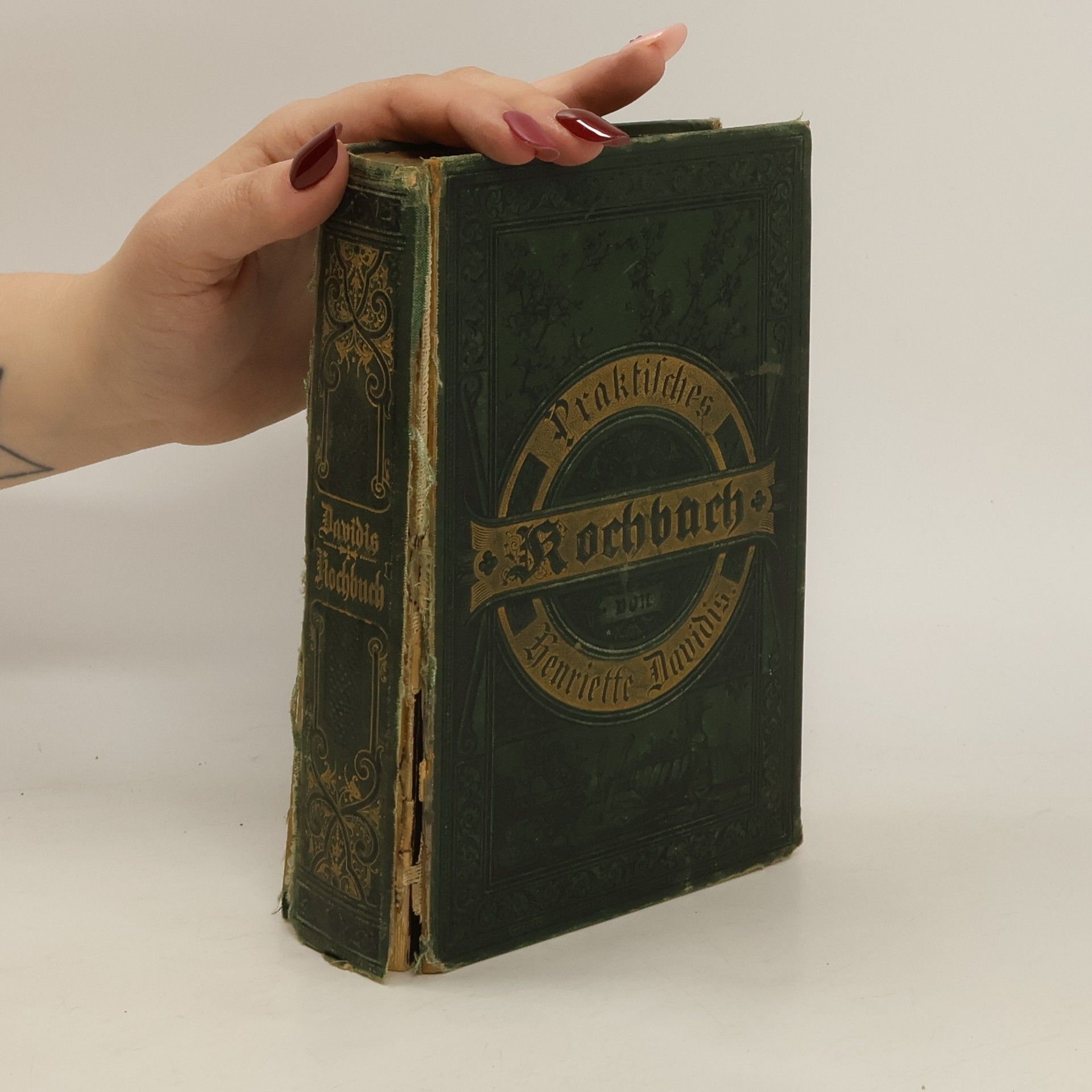 Henriette Davidis Praktisches Kochbuch für die gewöhnliche und feinere Küche