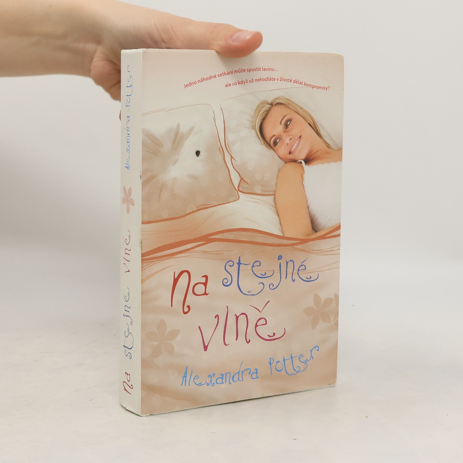 Alexandra Potter Na stejné vlně
