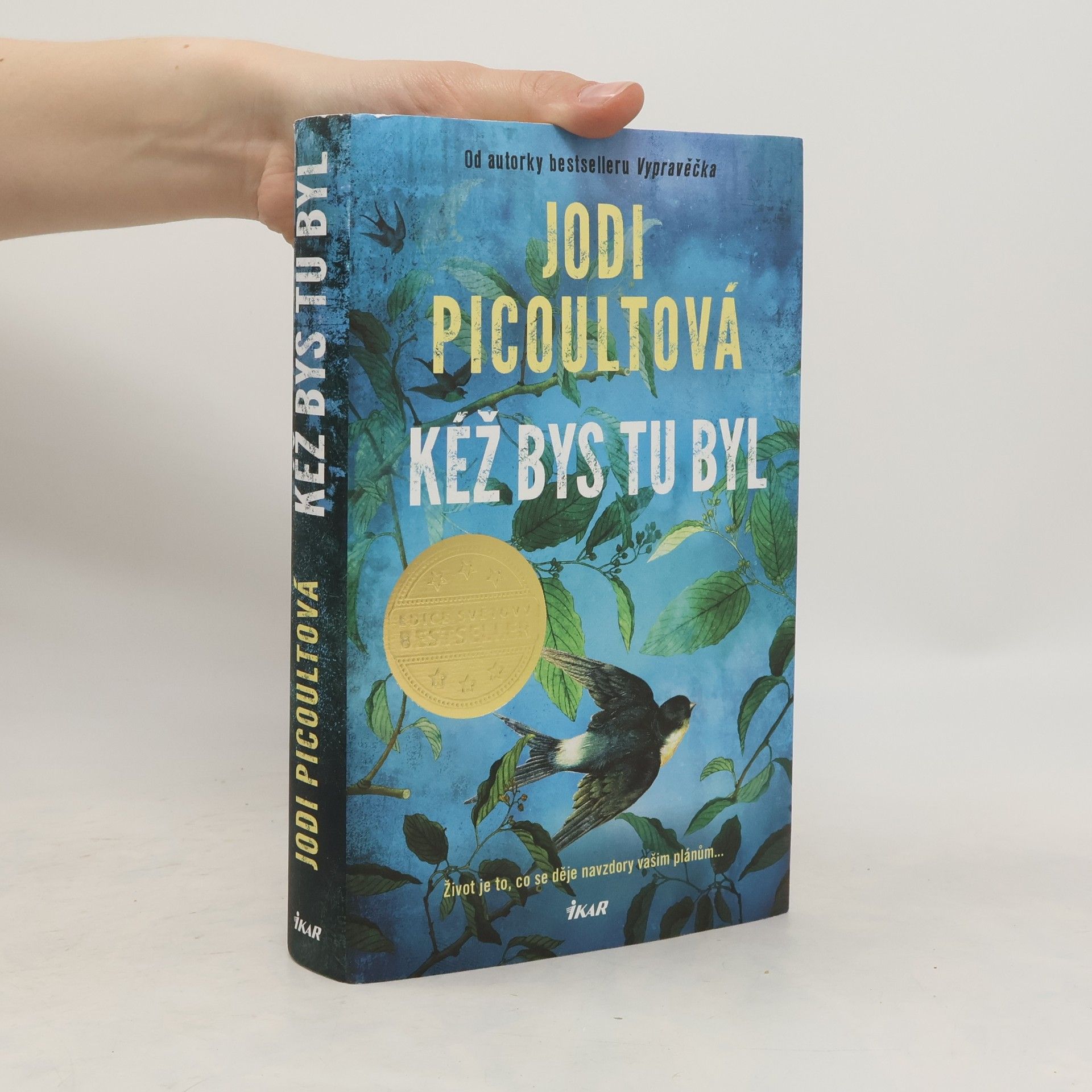 Marcela Nejedlá Kéž bys tu byl