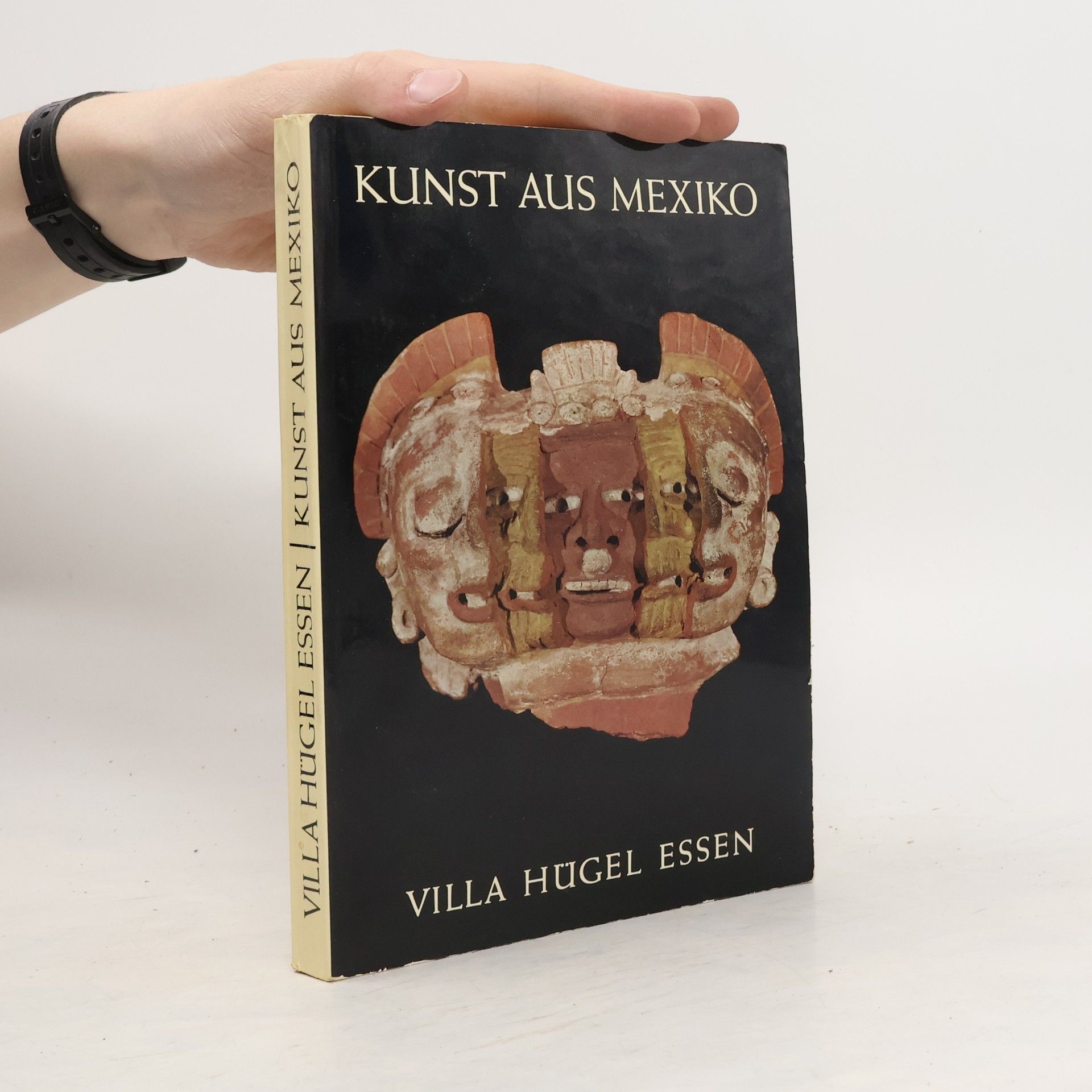Collectif d'auteurs Kunst aus Mexiko