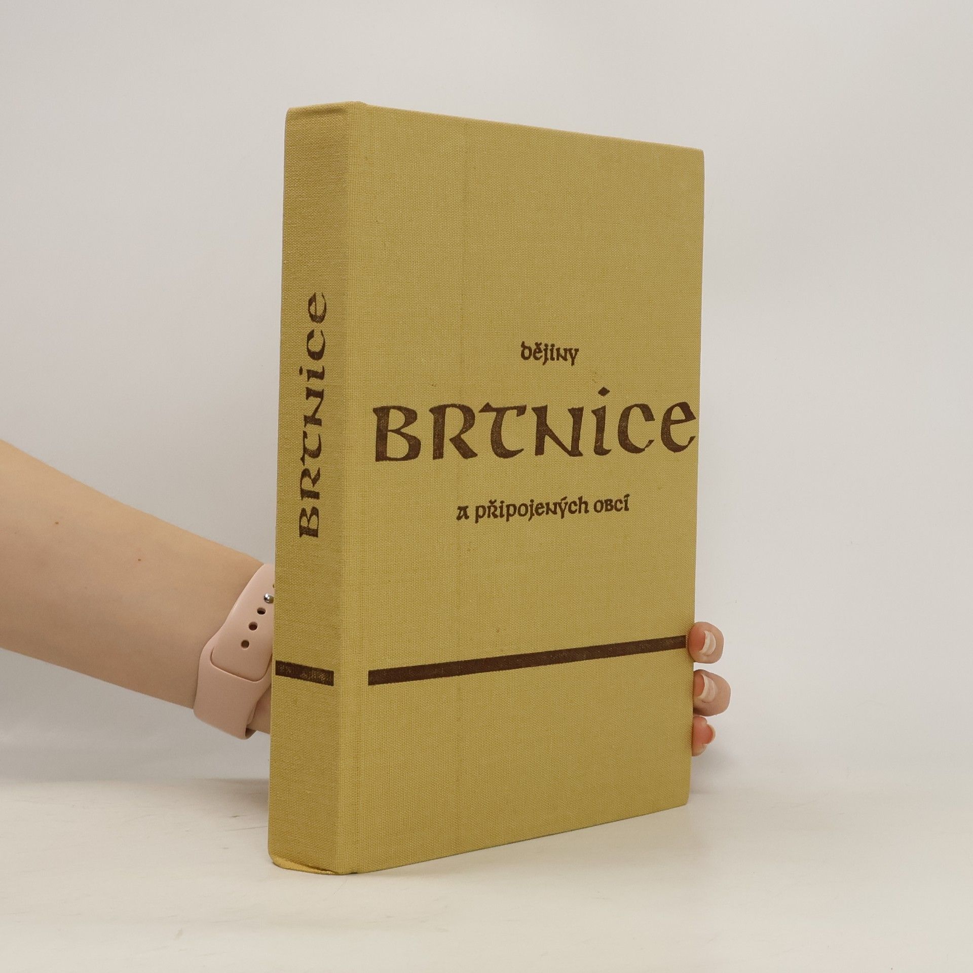 kolektiv Dějiny Brtnice a připojených obcí