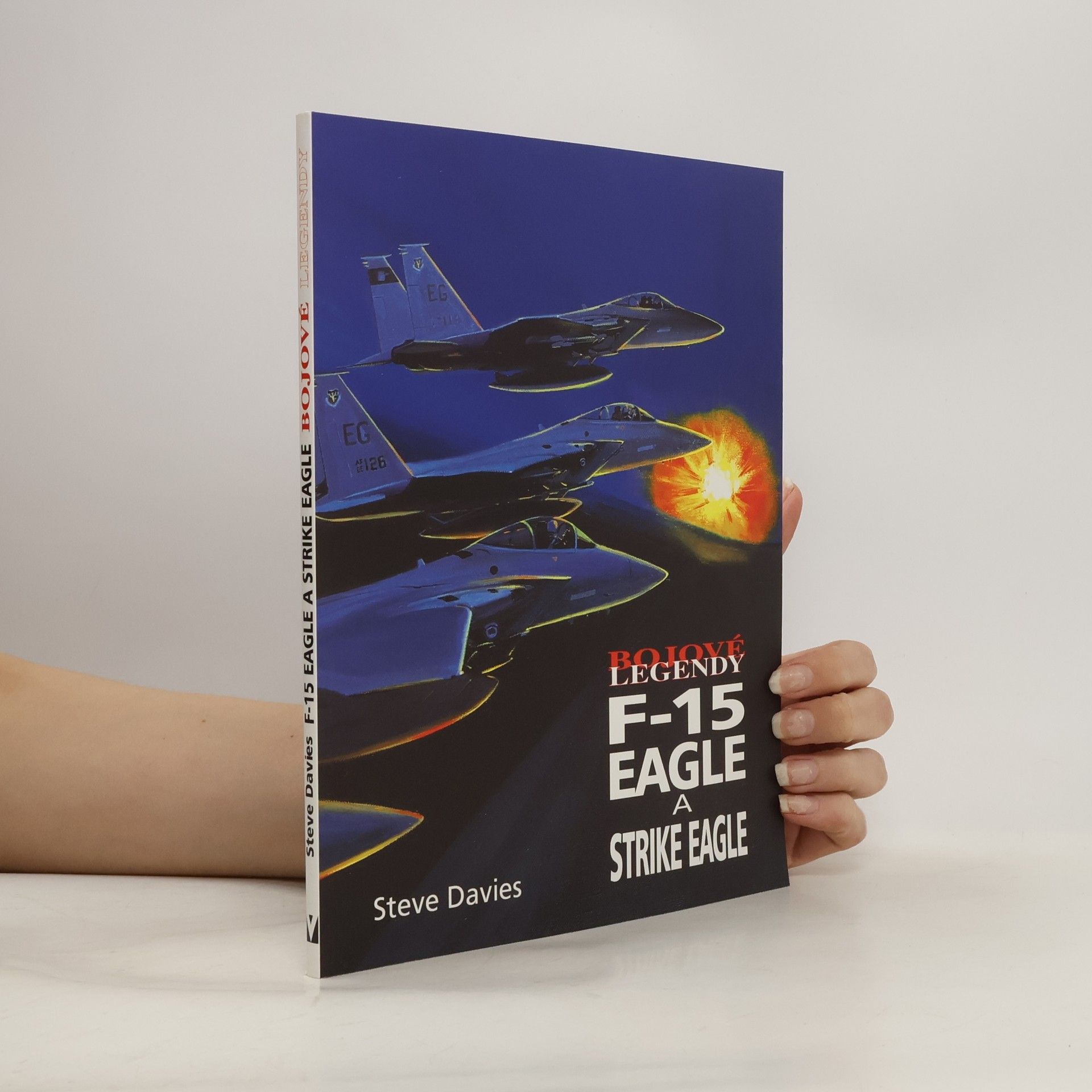 Steve Davies F-15 Eagle a Strike Eagle