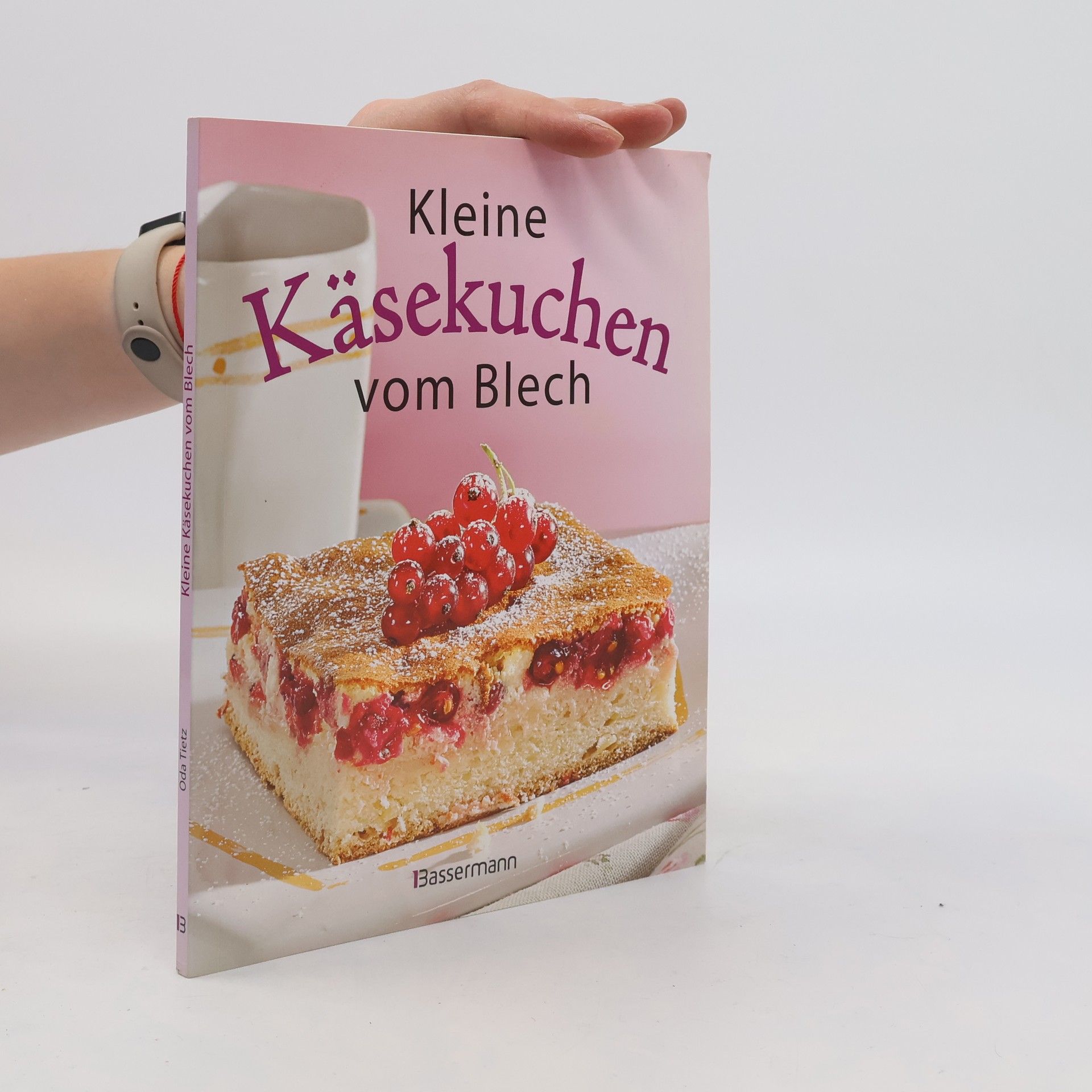 Oda Tietz Kleine Käsekuchen vom Blech