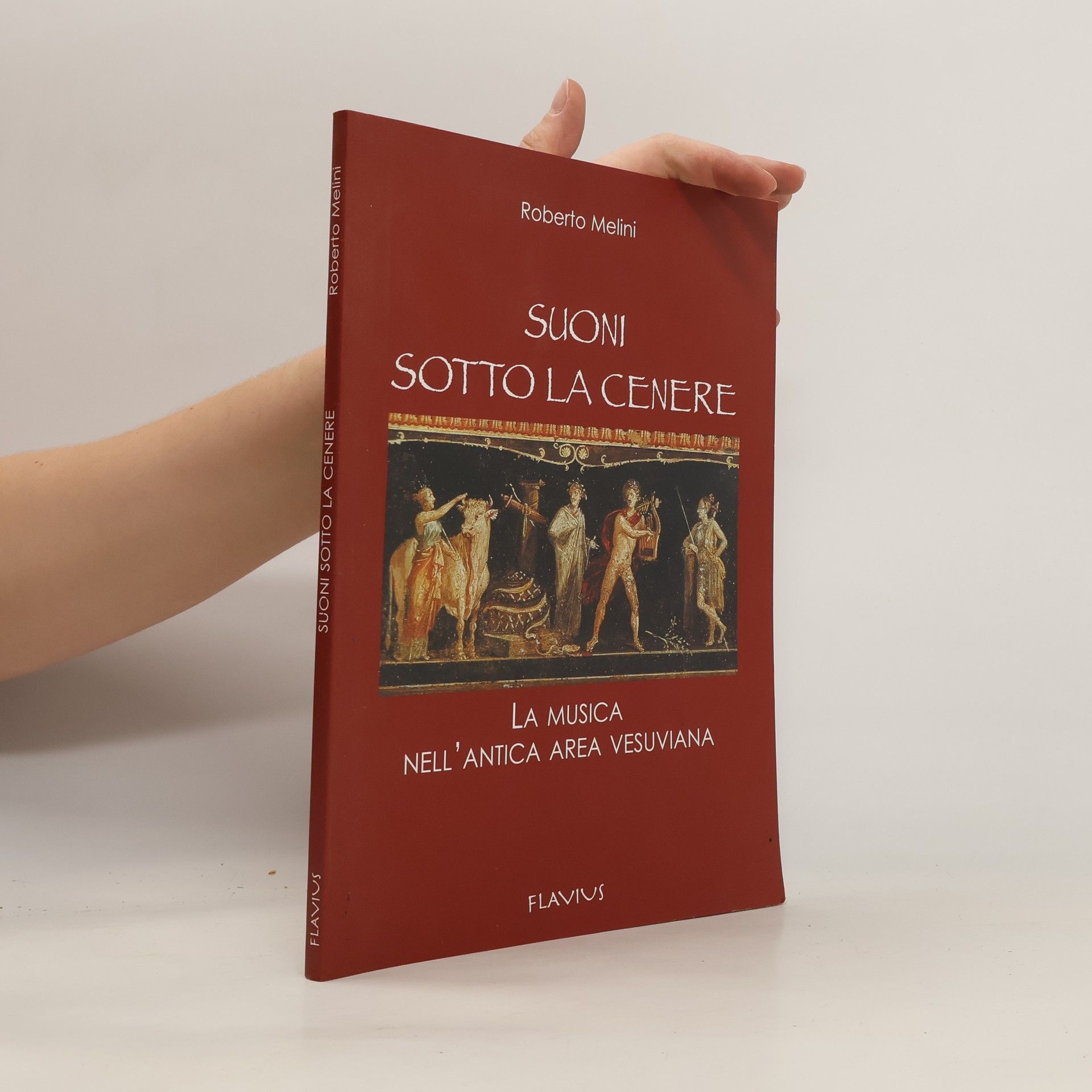 Roberto Melini Suoni sotto la cenere