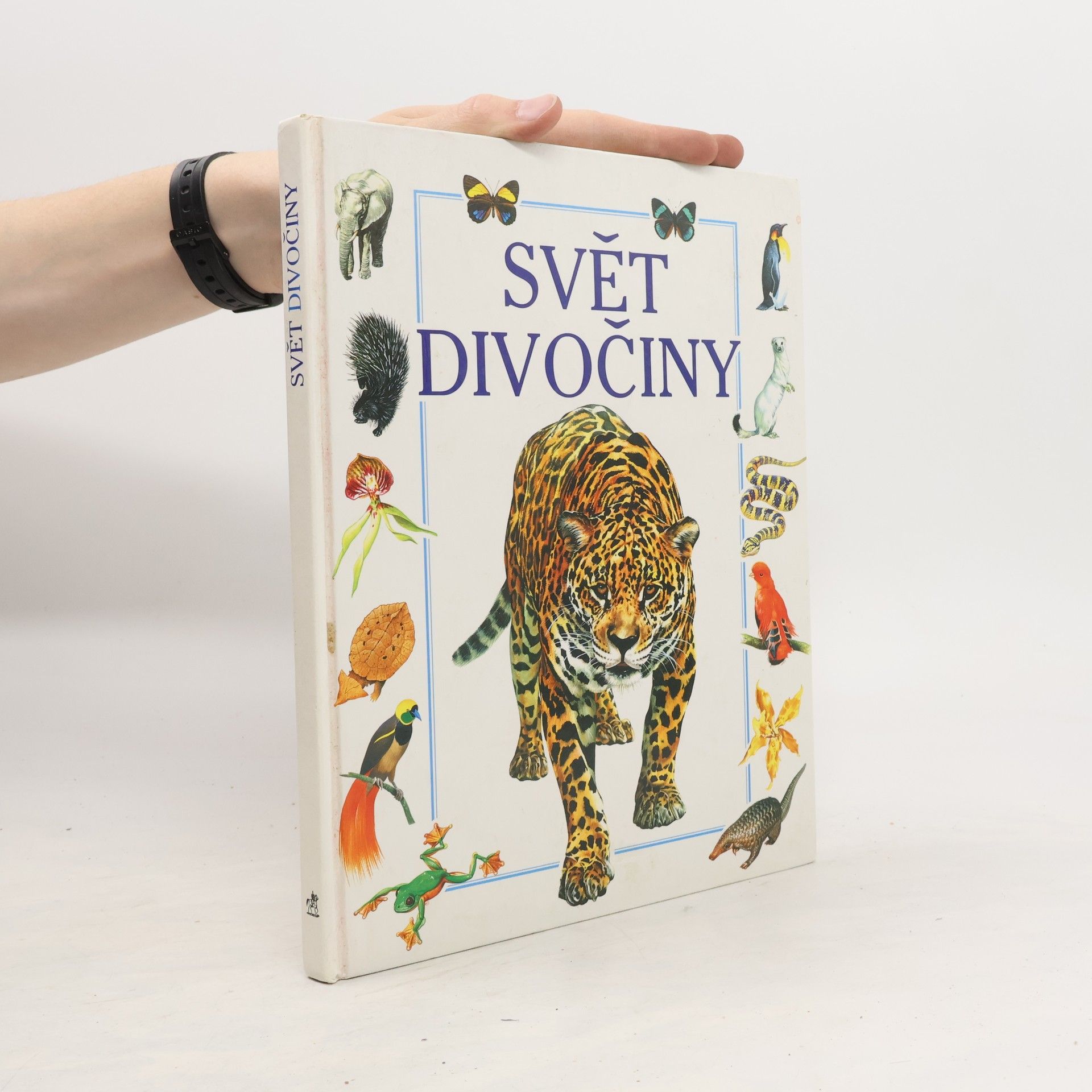 Ian Jackson Svět divočiny