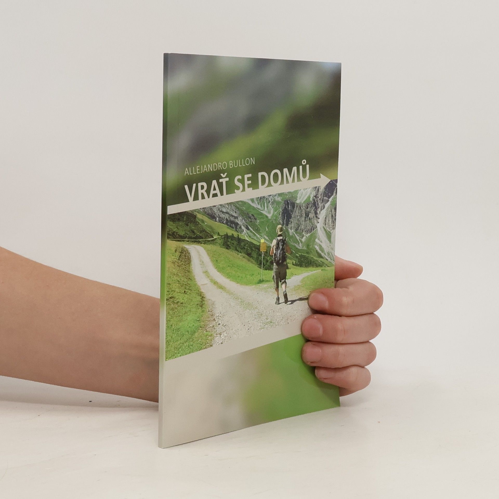 Alejandro Bullón Vrať se domů