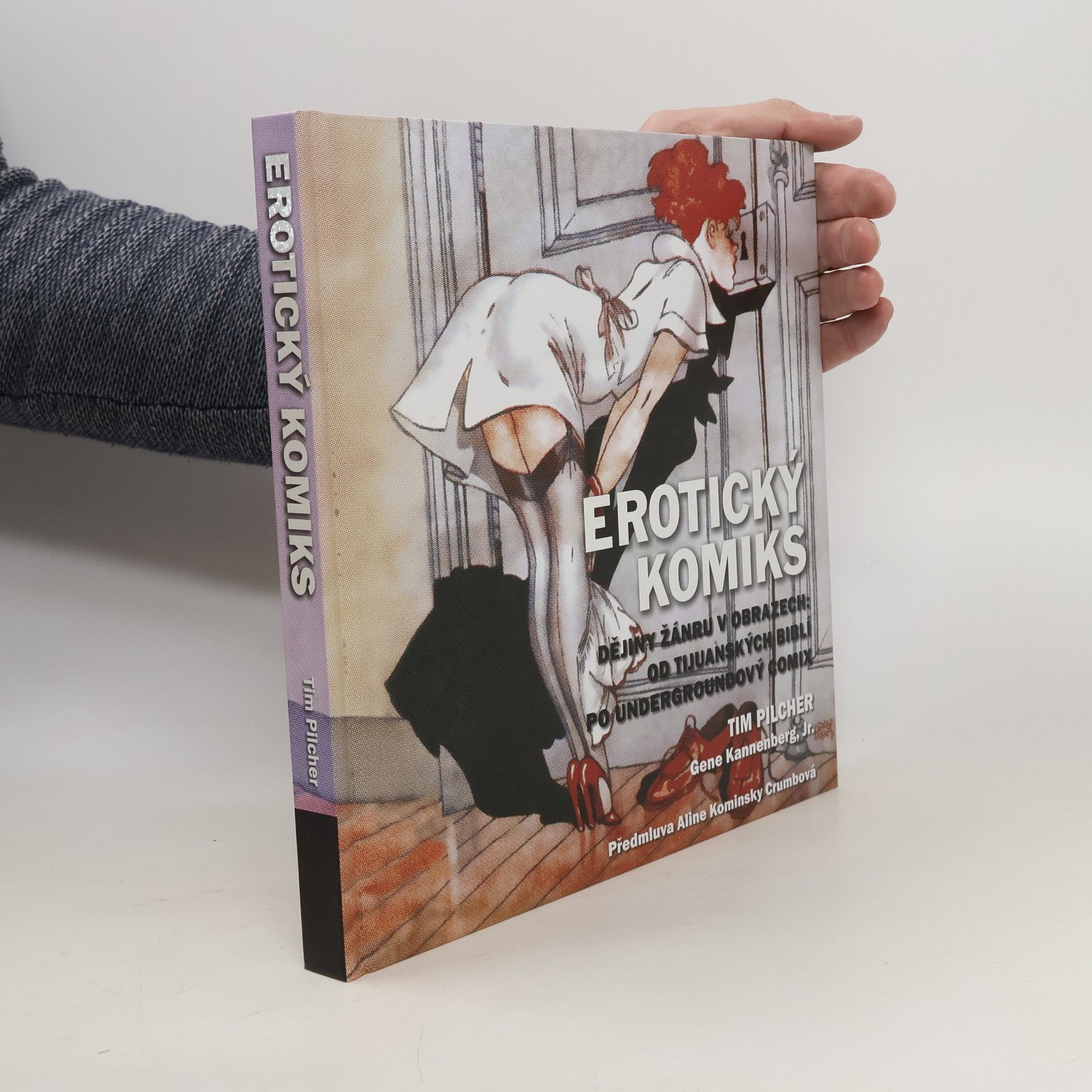 Tim Pilcher Erotický komiks: Dějiny žánru v obrazech
