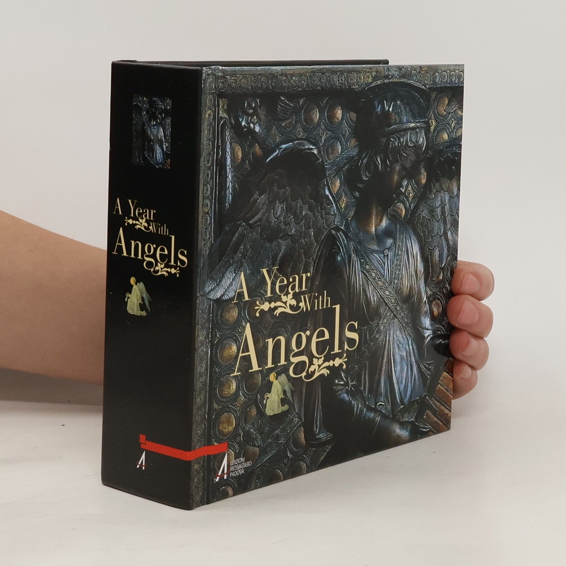 Alberto Vela A Year with Angels