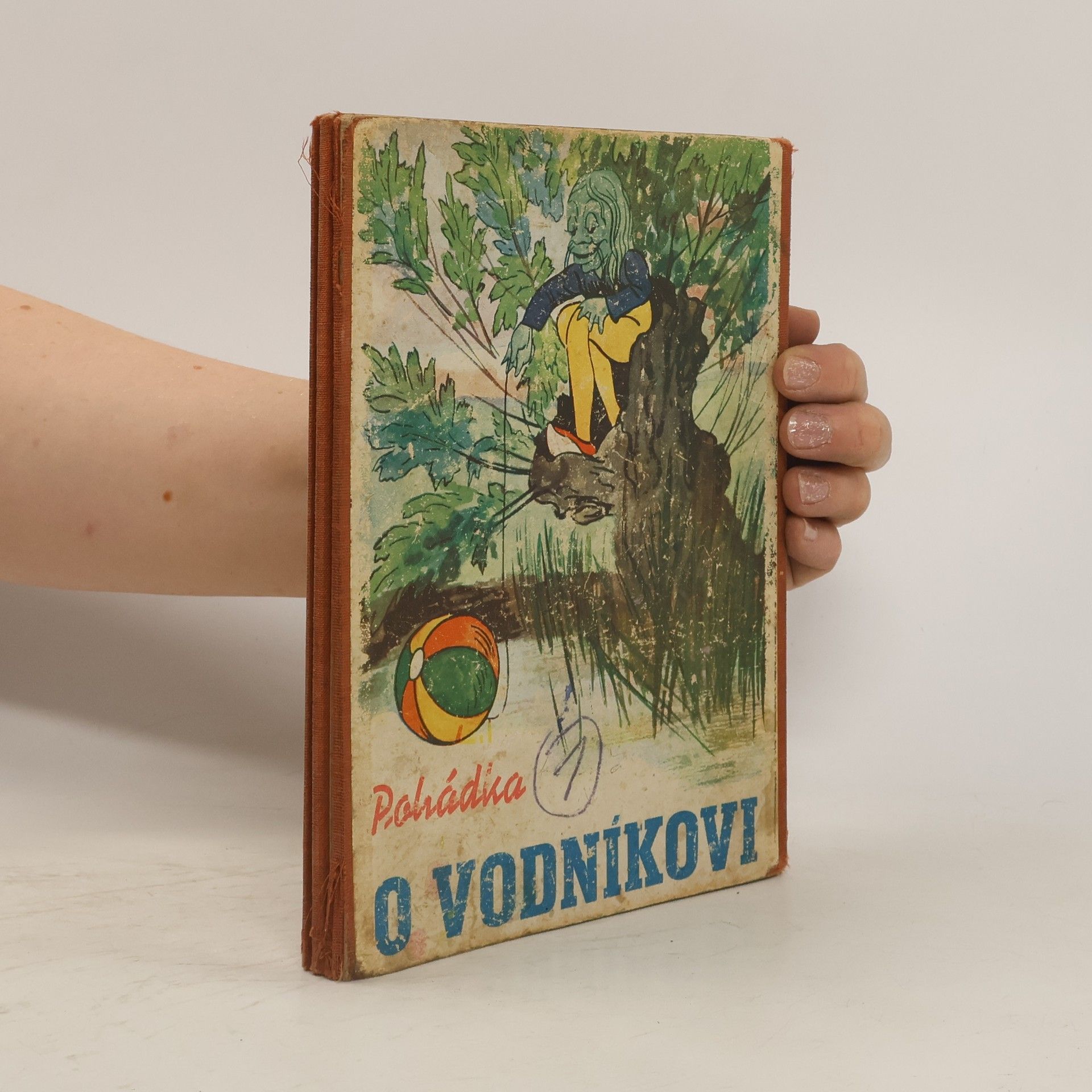 AA.VV. Pohádka o vodníkovi