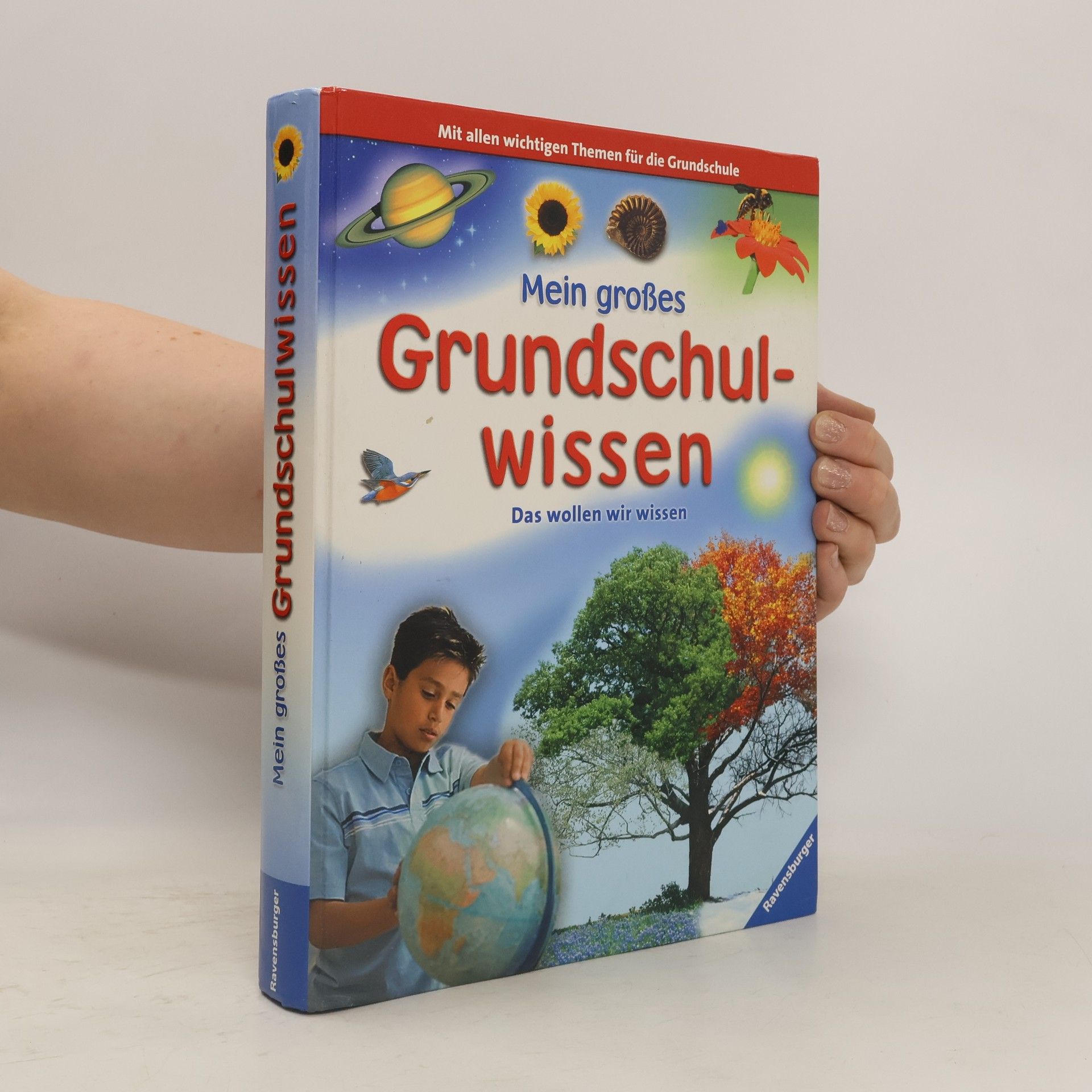 Sabine Zürn Mein großes Grundschulwissen