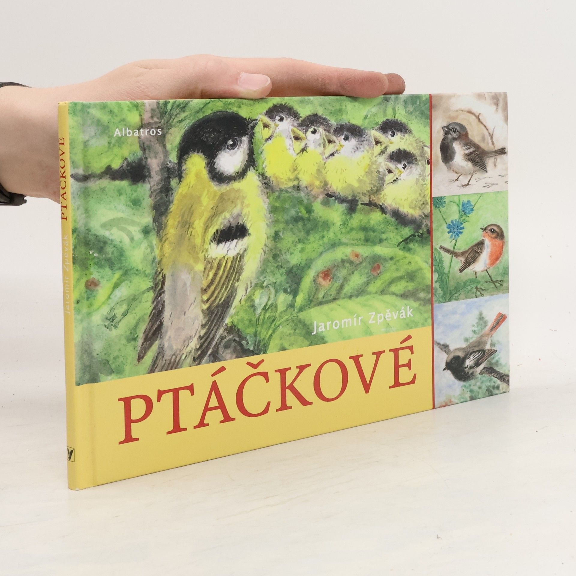 Jaromír Zpěvák Ptáčkové