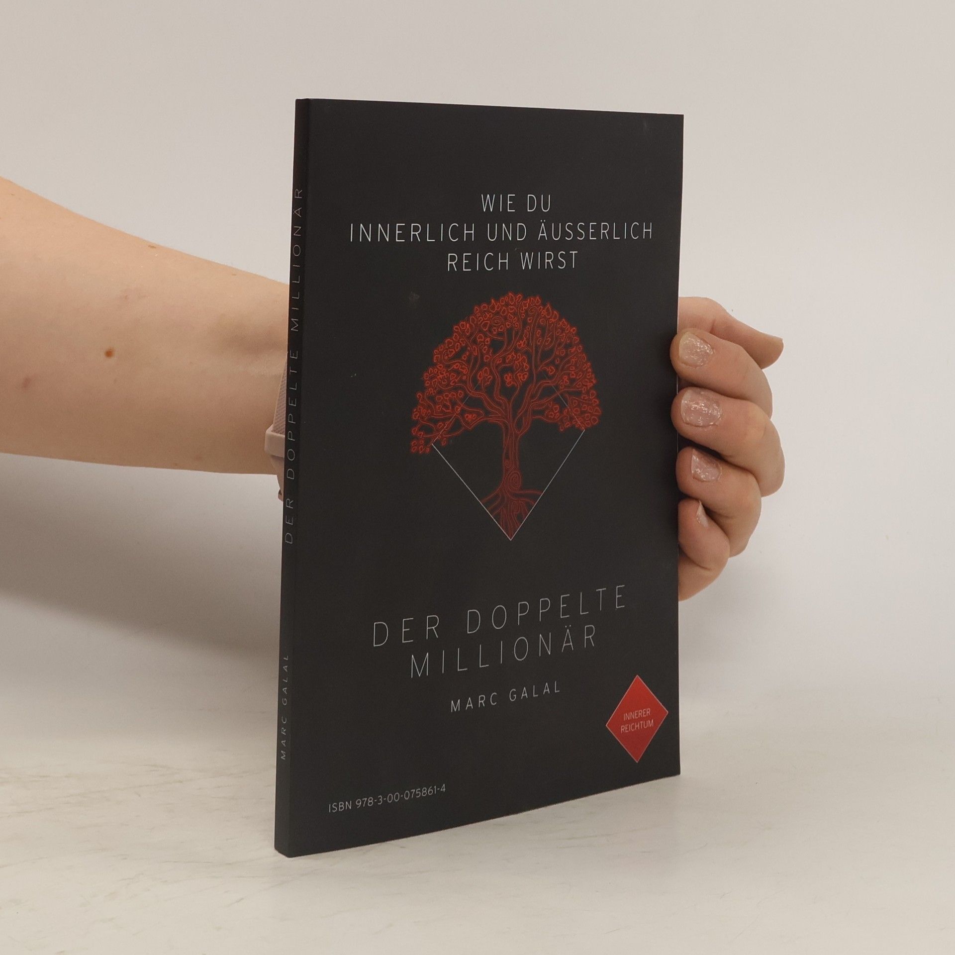 Marc M. Galal Der Doppelte Millionär