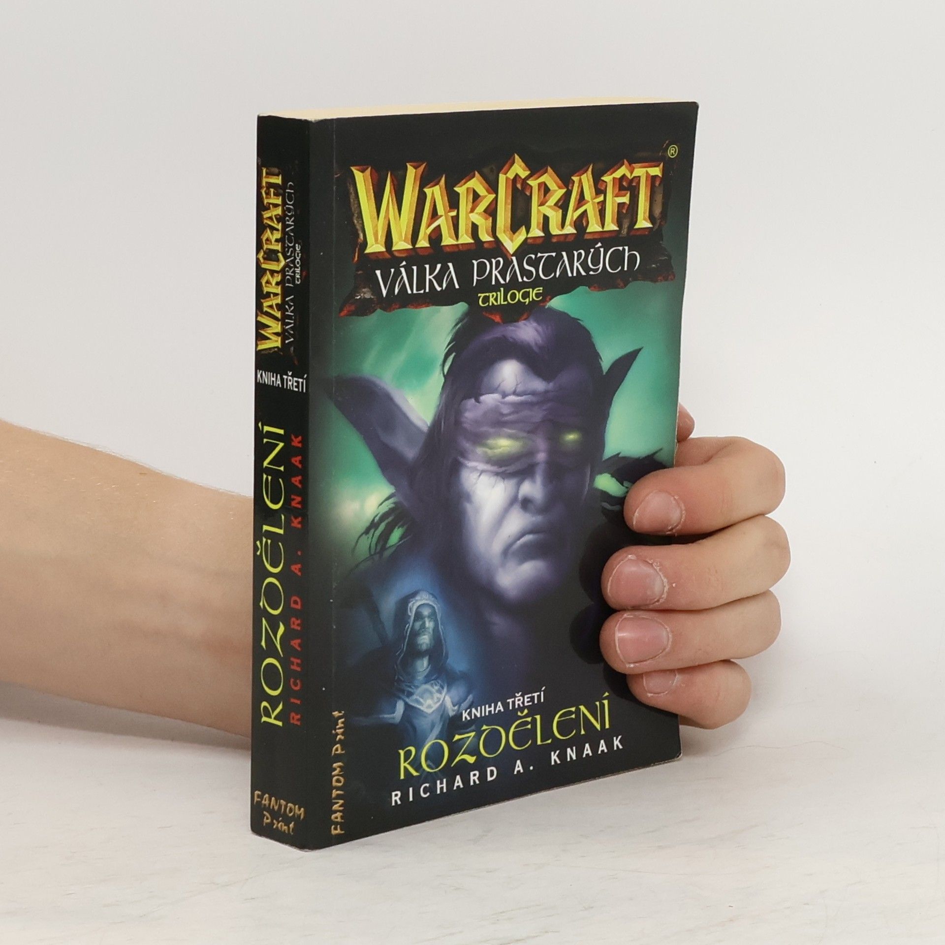 Richard A. Knaak WarCraft. Válka Prastarých 3. Rozdělení