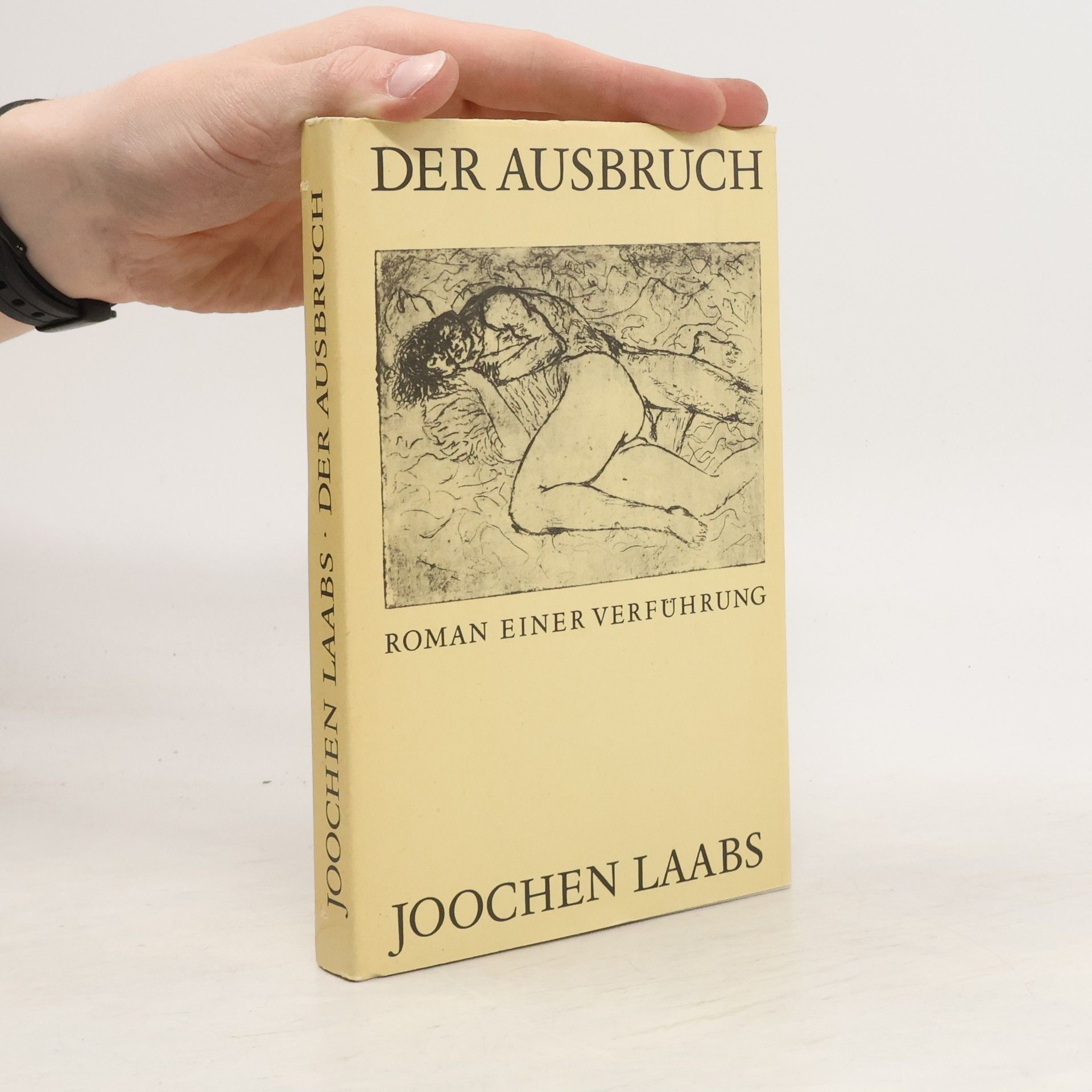 Joochen Laabs Der Ausbruch