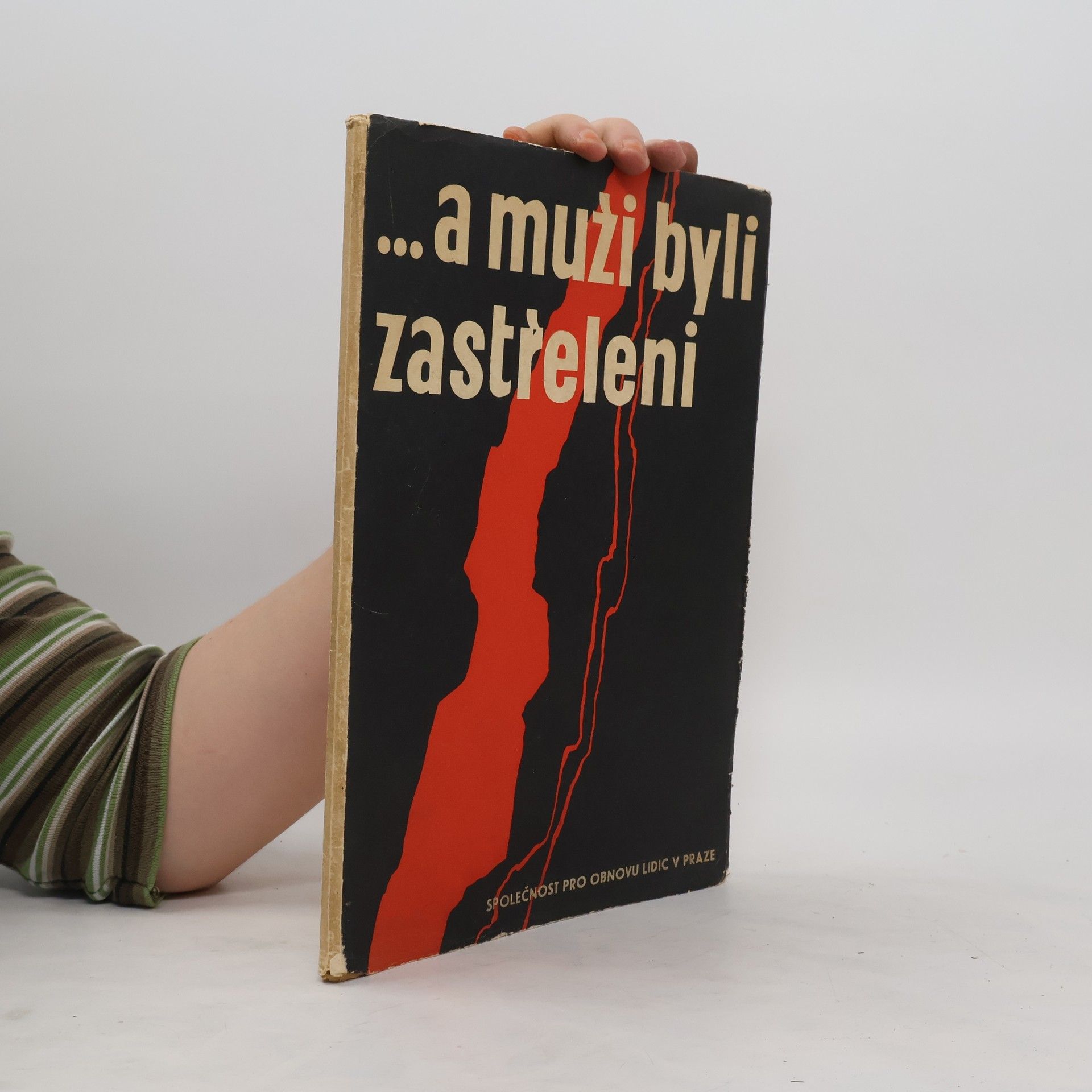 Collectif d'auteurs ... a muži byli zastřeleni
