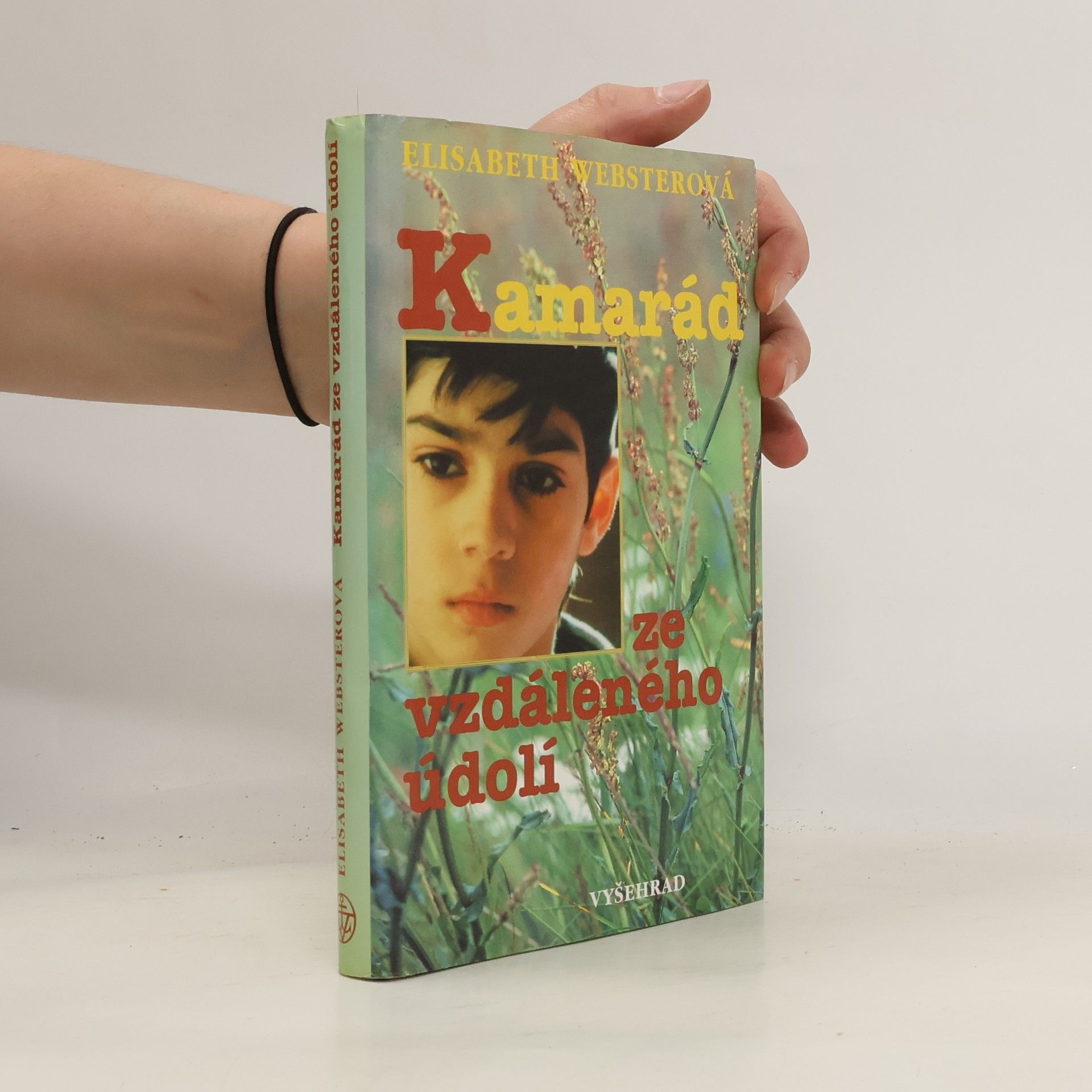 Elizabeth Webster Kamarád ze vzdáleného údolí