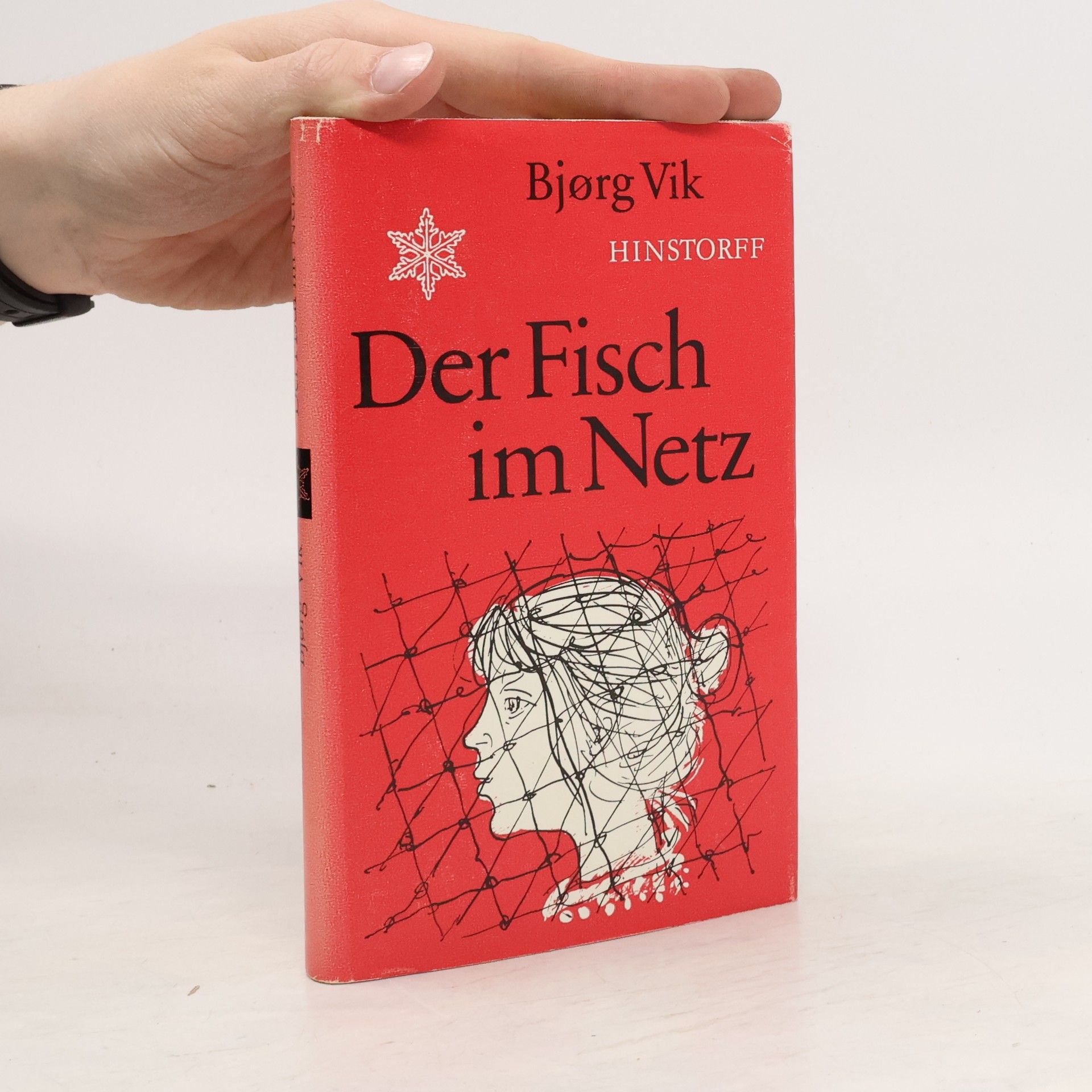 Bjørg Vik Der Fisch im Netz