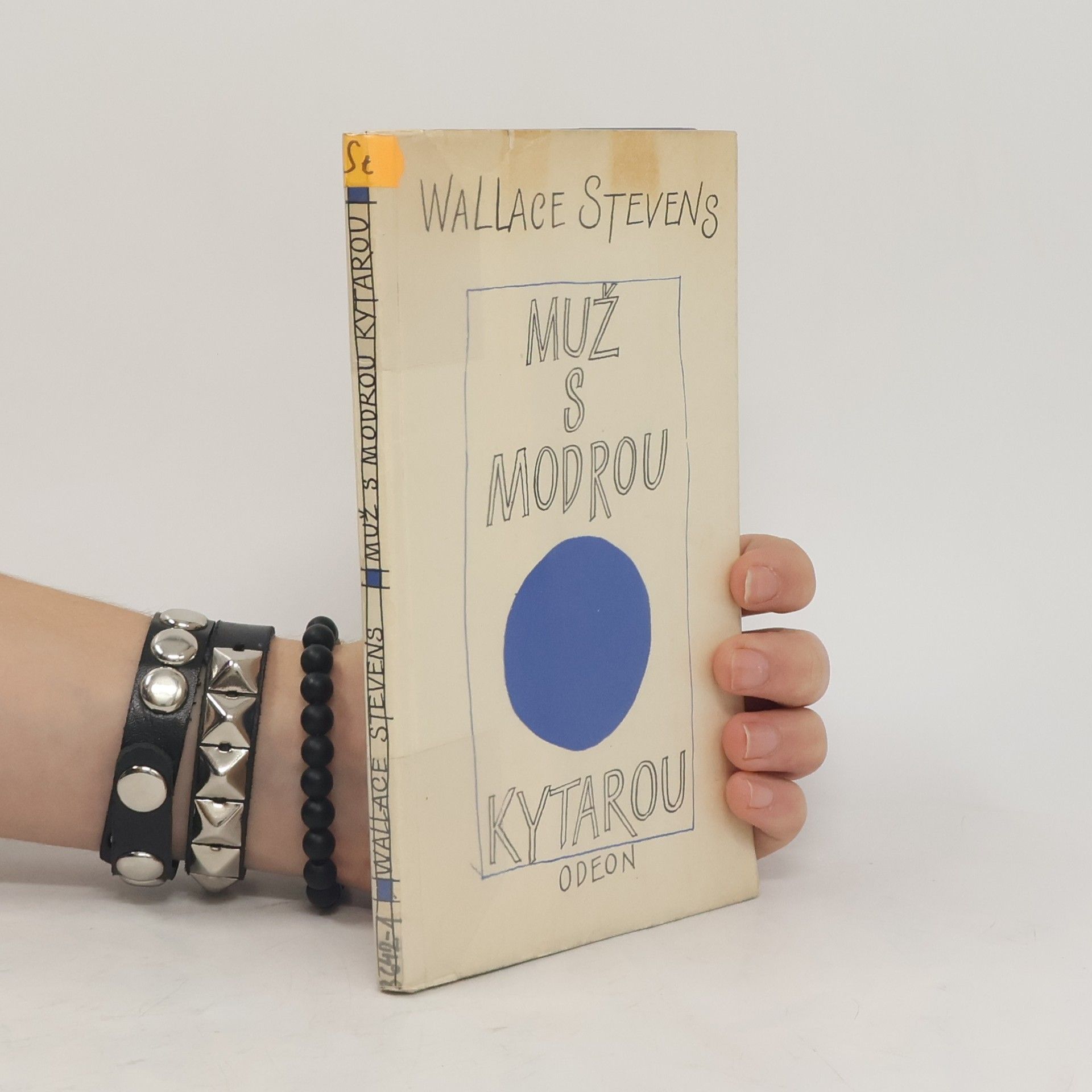 Wallace Stevens Muž s modrou kytarou