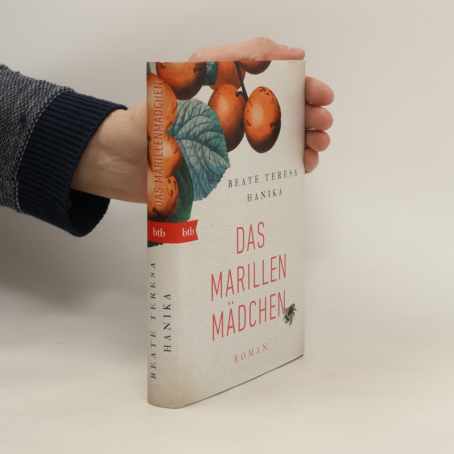 Beate Teresa Hanika Das Marillenmädchen