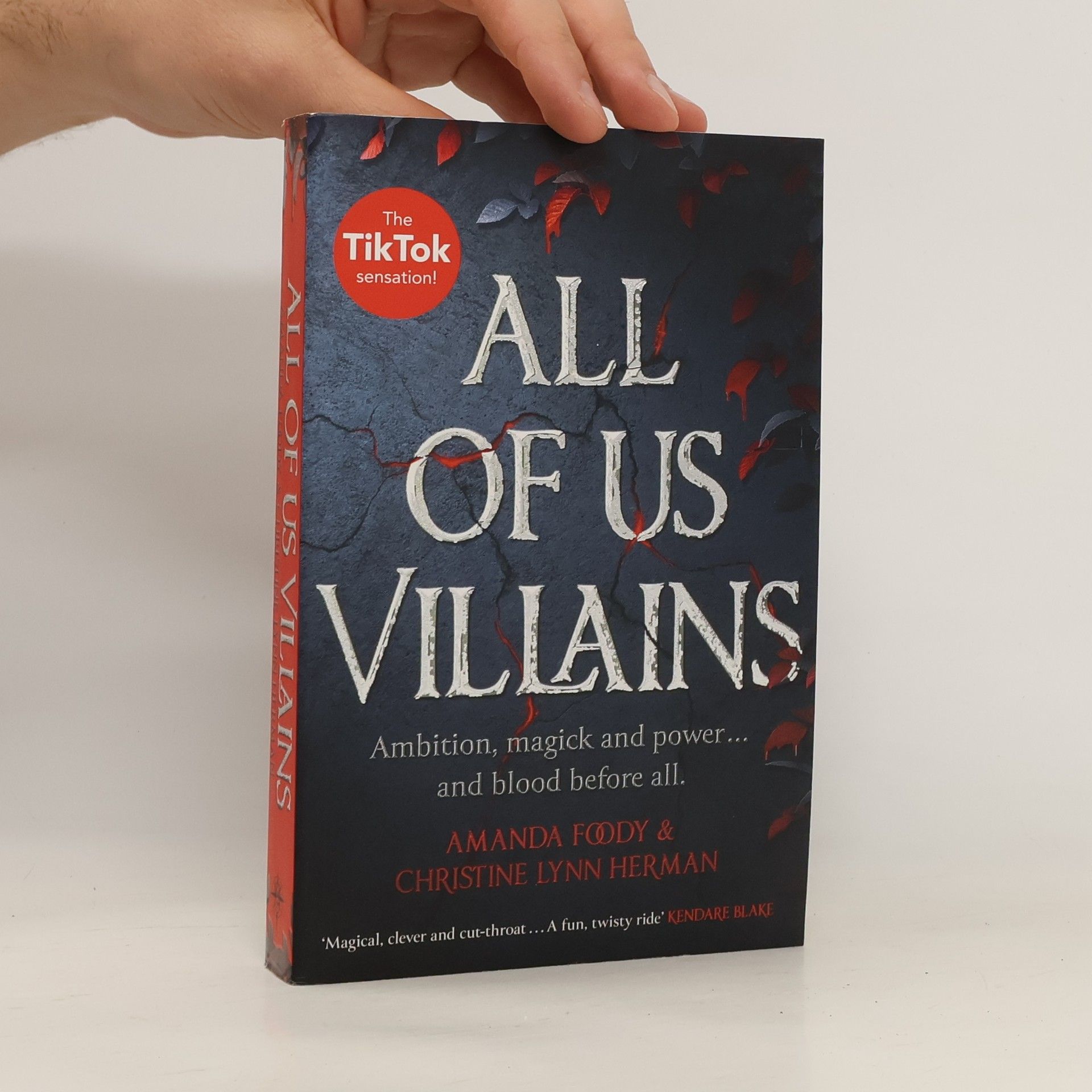 Amanda Foody All of Us Villains