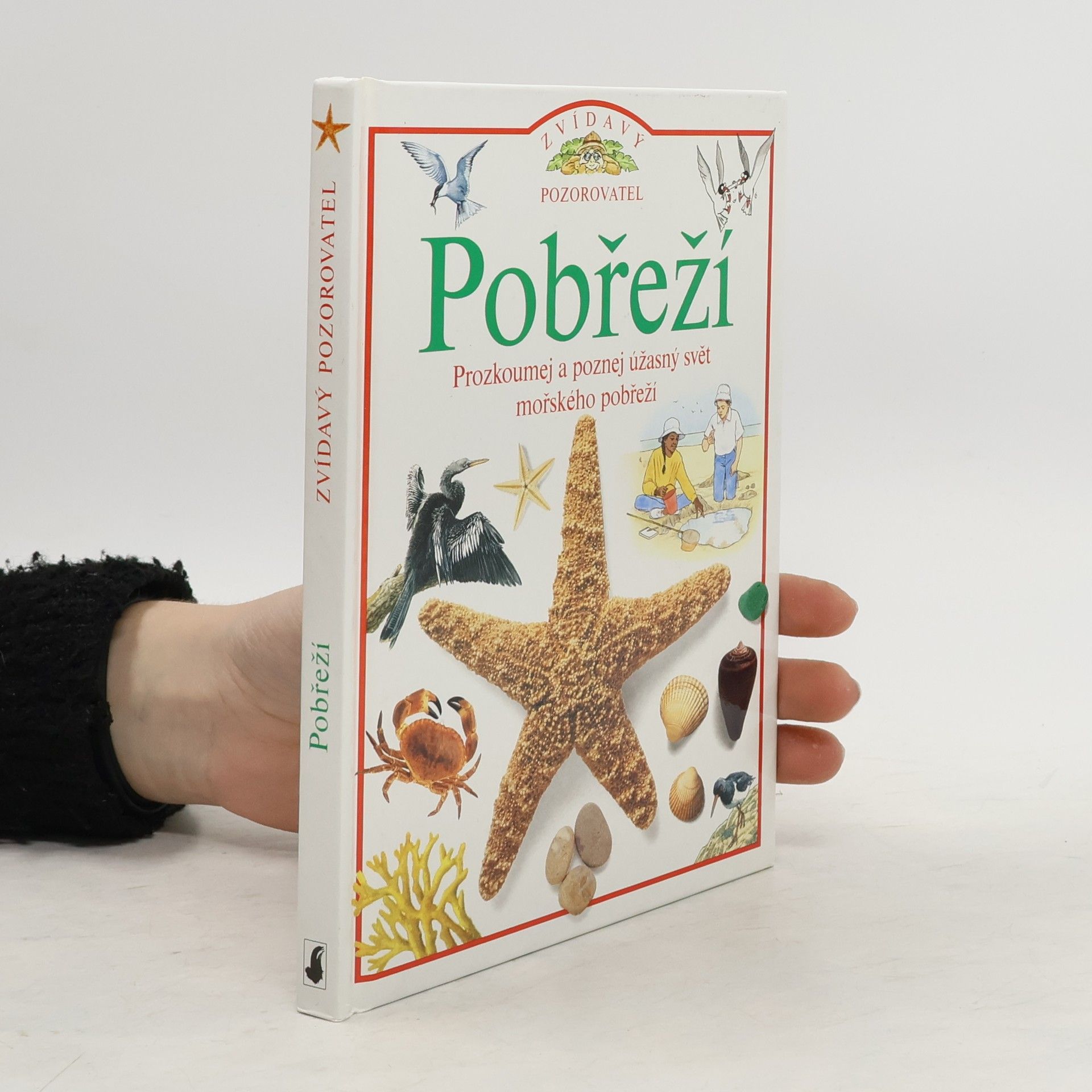 David Burnie Pobřeží