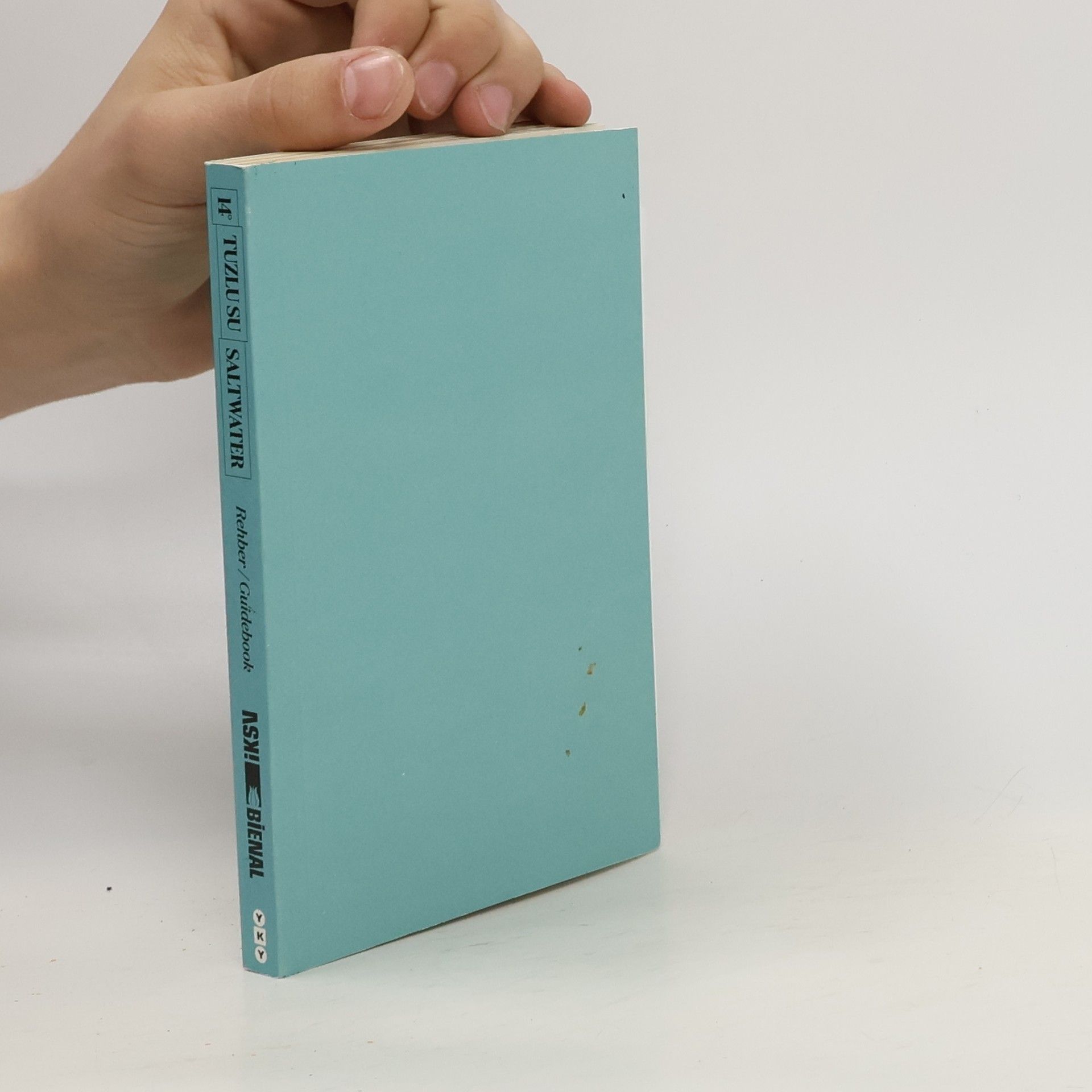 Collectif d'auteurs Tuzlu su Saltwater Guidebook