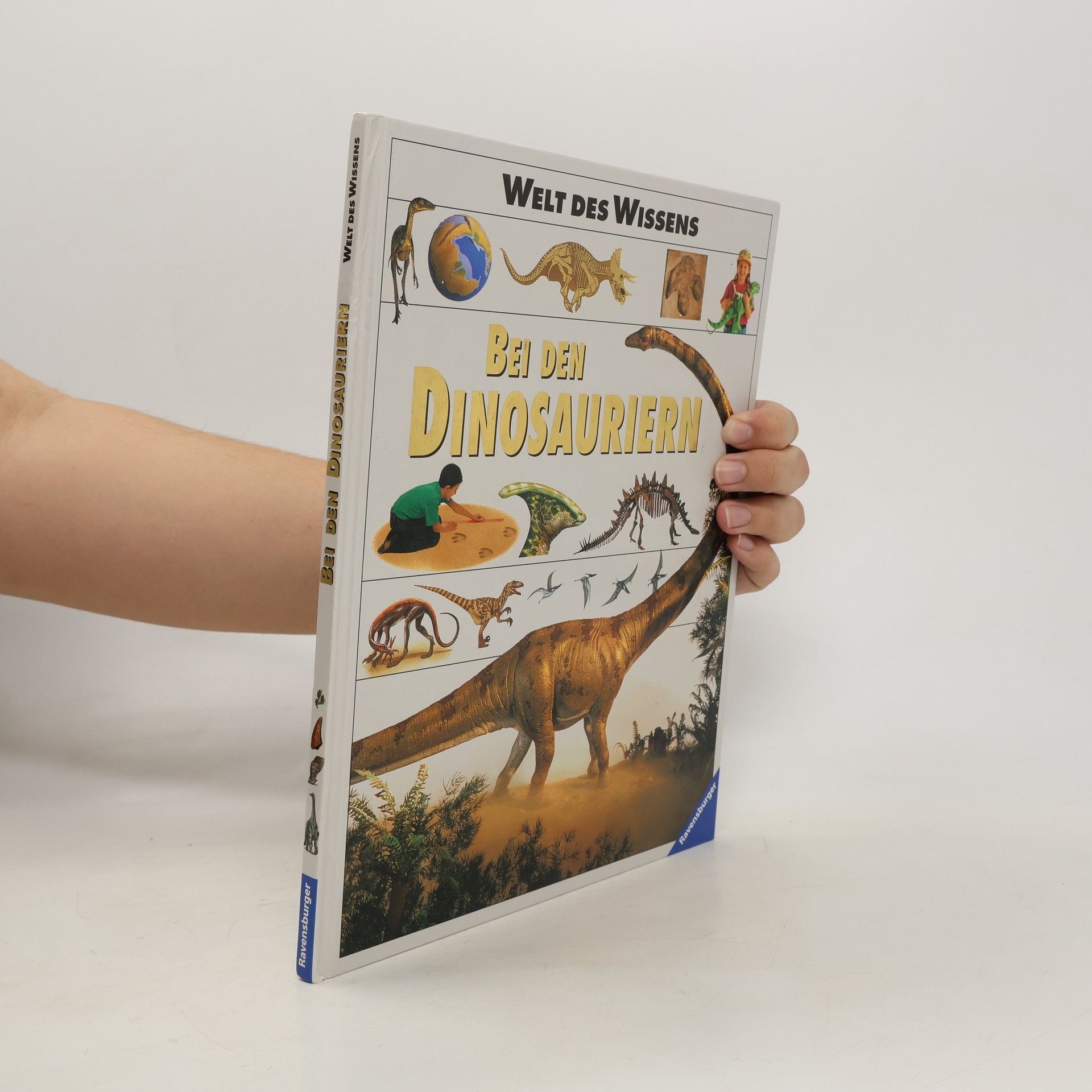 Ralph-Michael Schmidt Bei den Dinosauriern