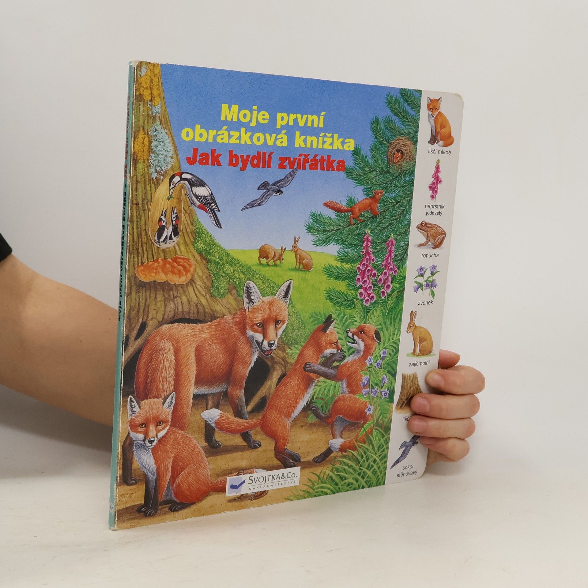 Dagmar Steidl Moje první obrázková knížka: Jak bydlí zvířátka