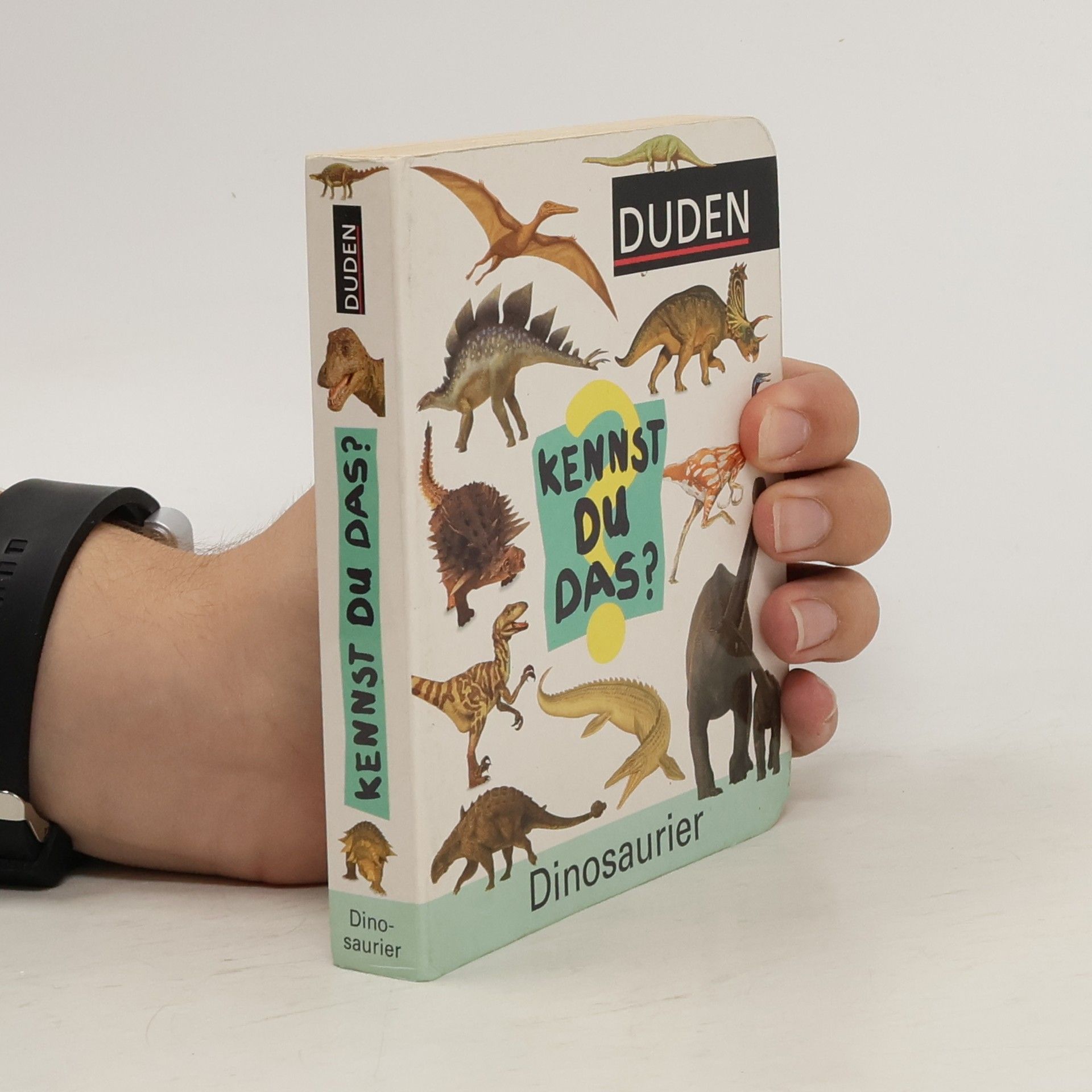 kolektiv Dinosaurier