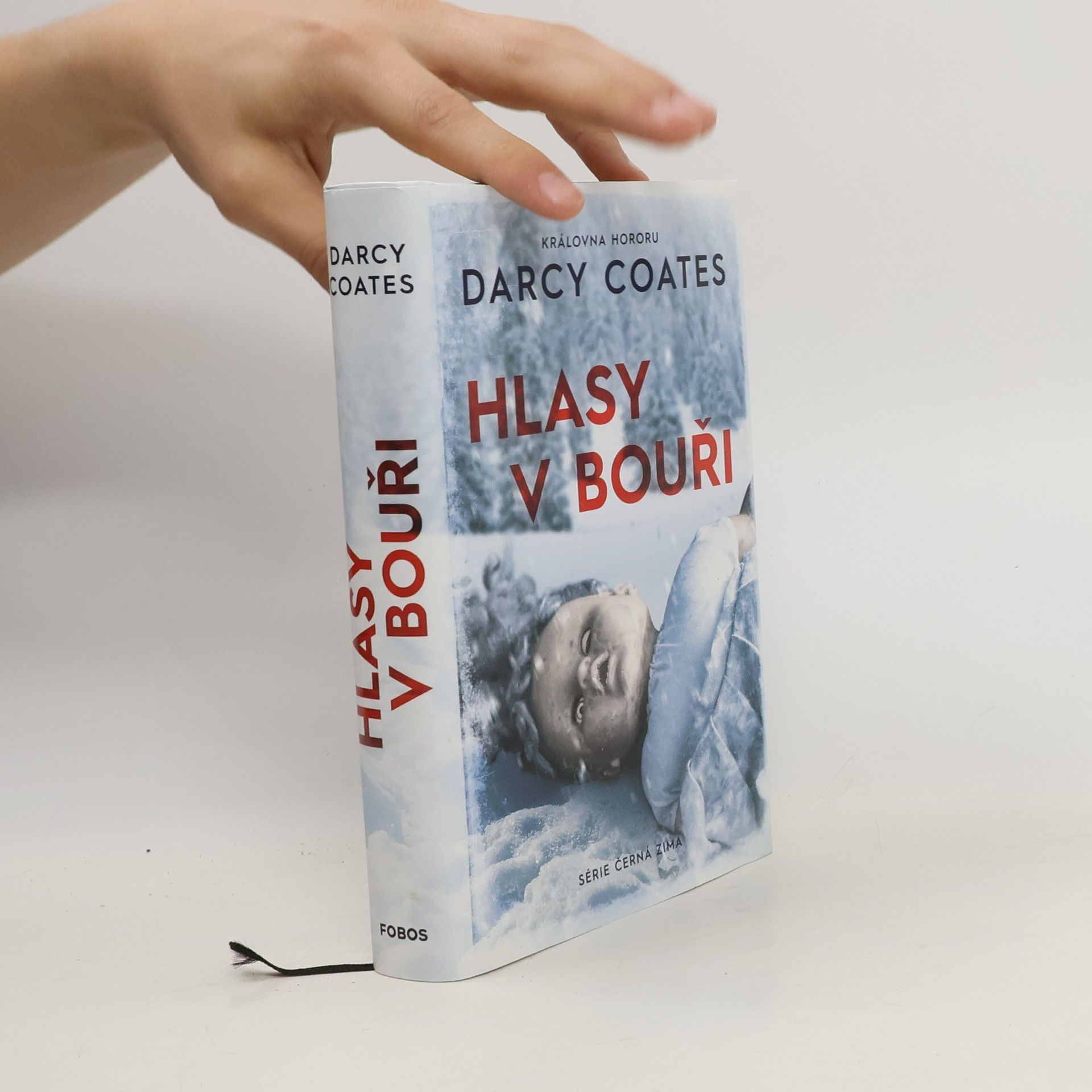Darcy Coates Hlasy v bouři