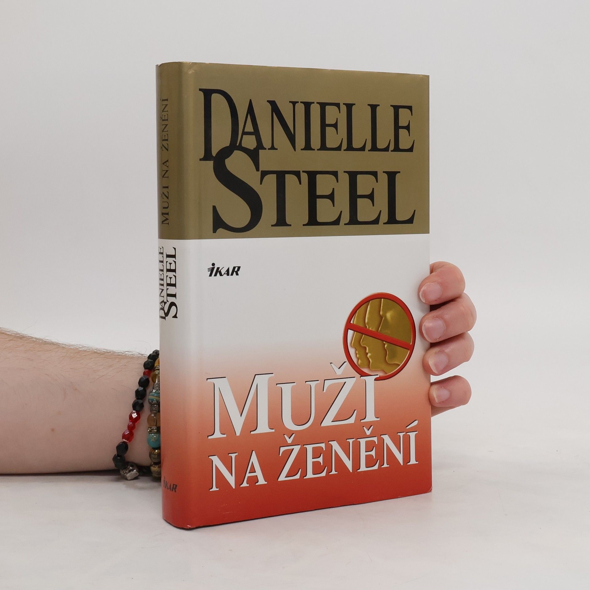 Danielle Steel Muži na ženění