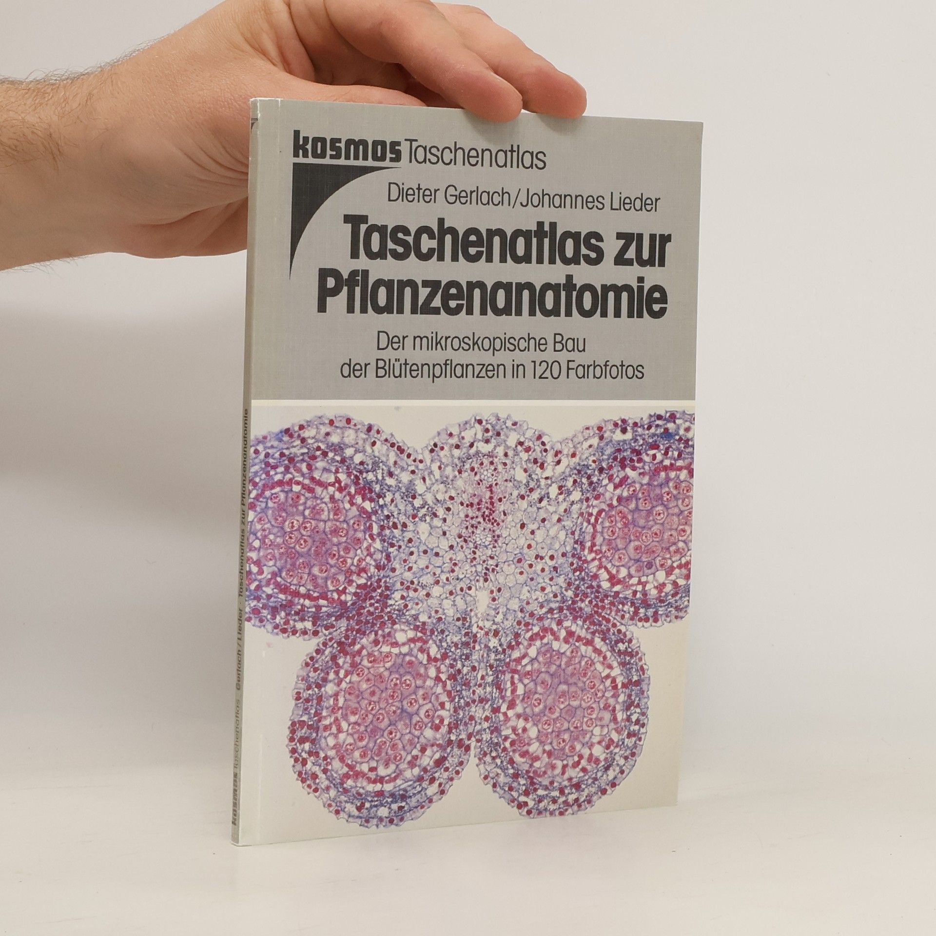 Dieter Gerlach Taschenatlas zur Pflanzenanatomie