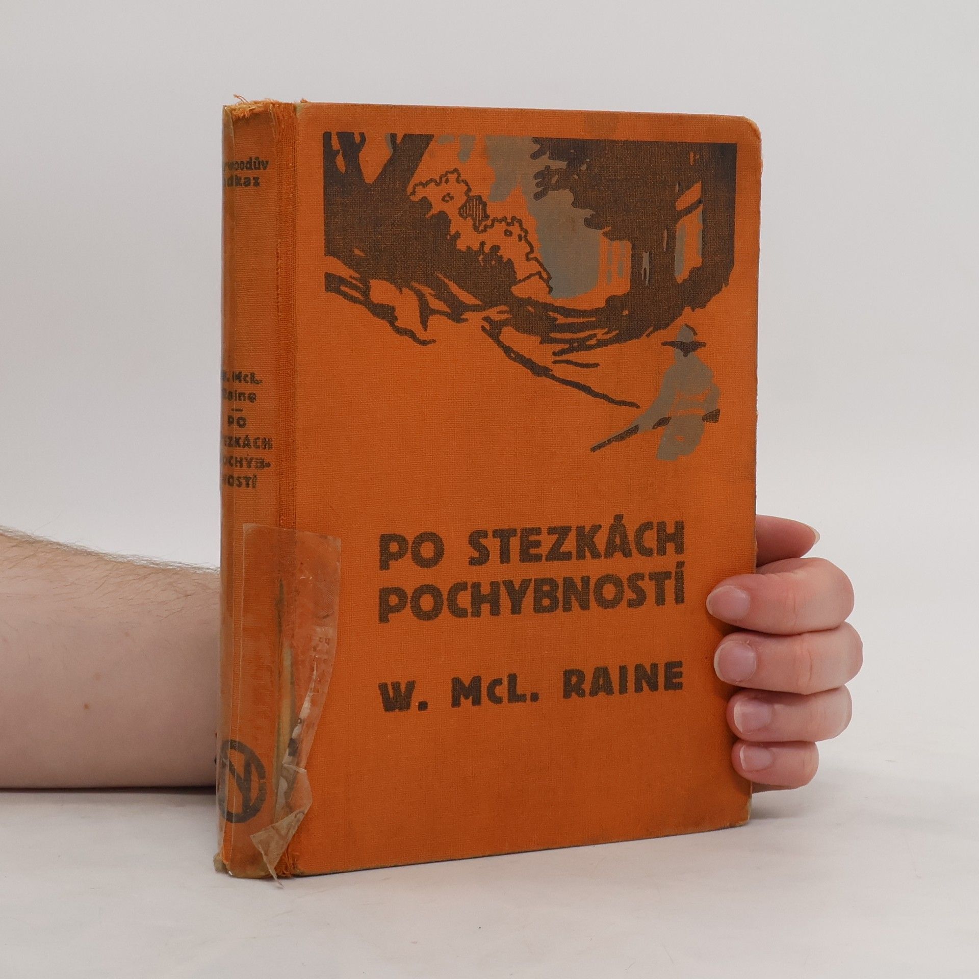 William MacLeod Raine Po stezkách pochybností