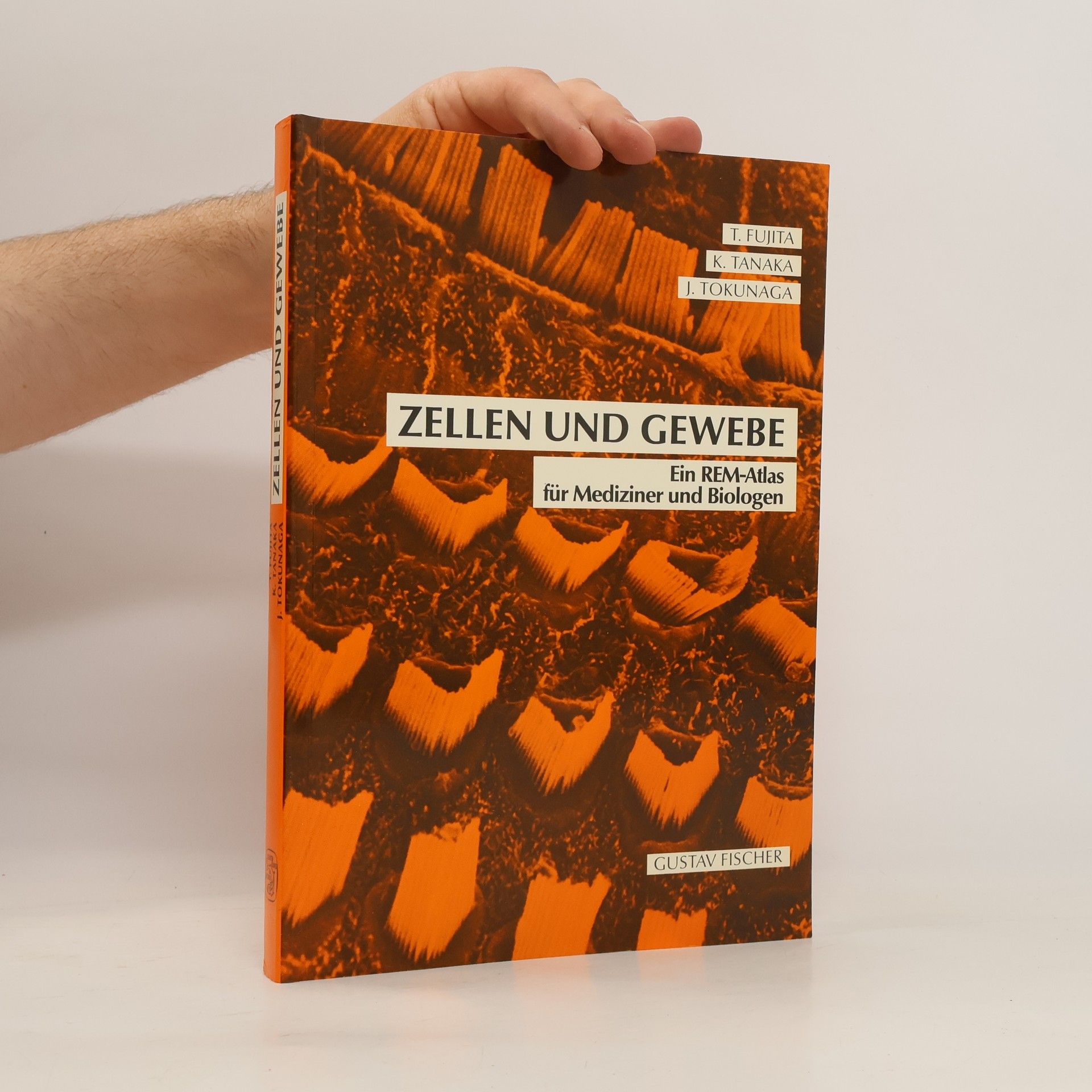 Tsuneo Fujita Zellen und Gewebe