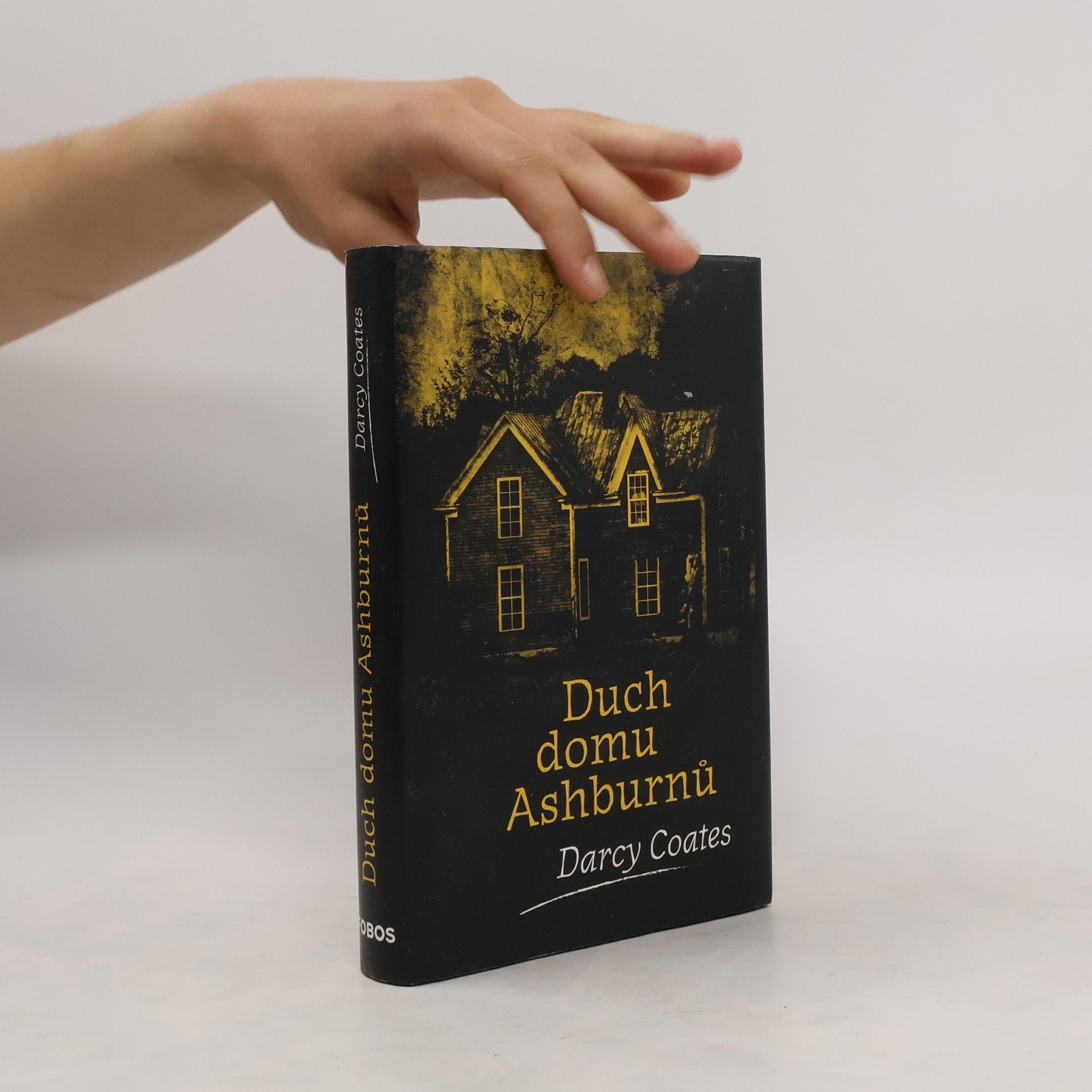 Darcy Coates Duch domu Ashburnů
