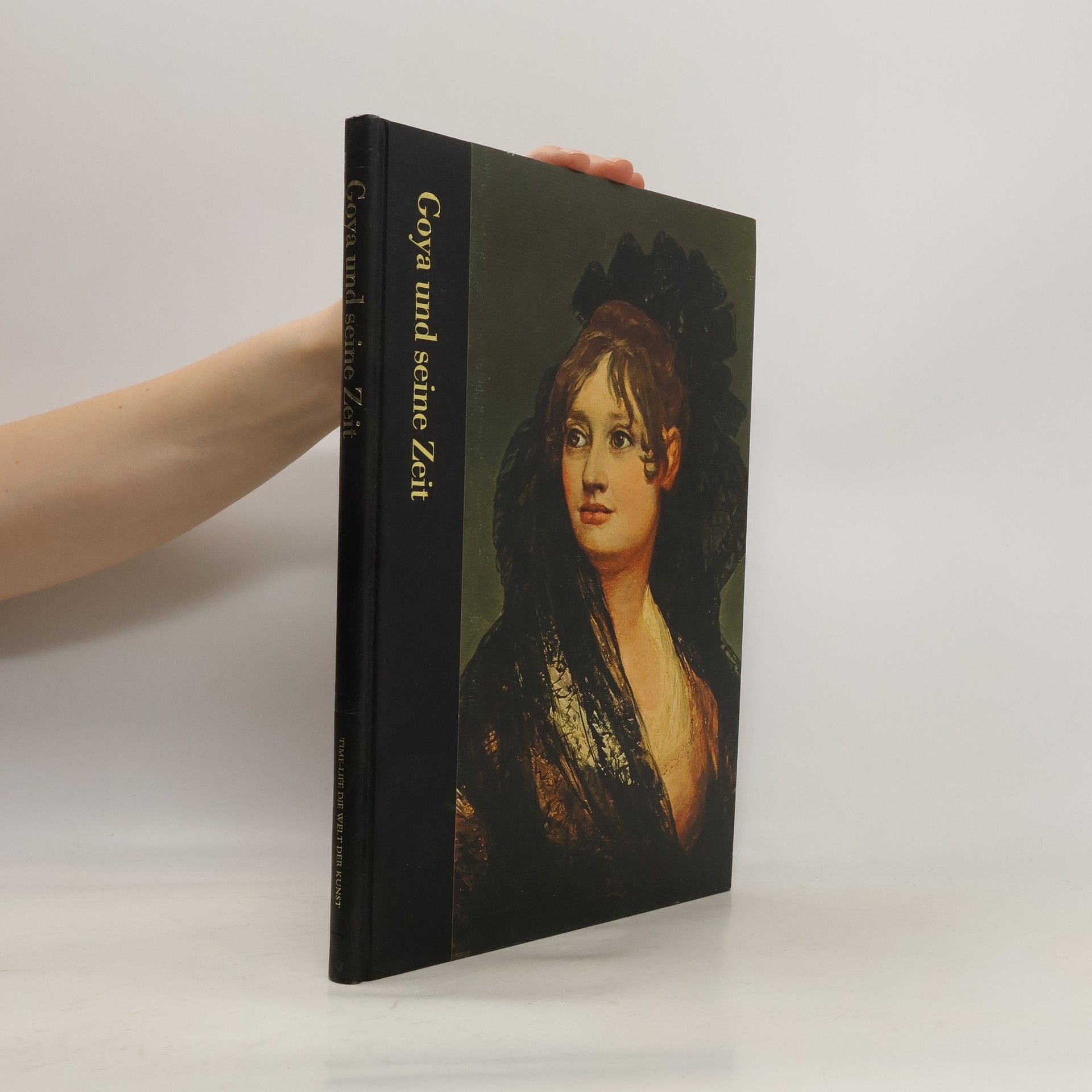 Richard Schickel Goya und seine Zeit